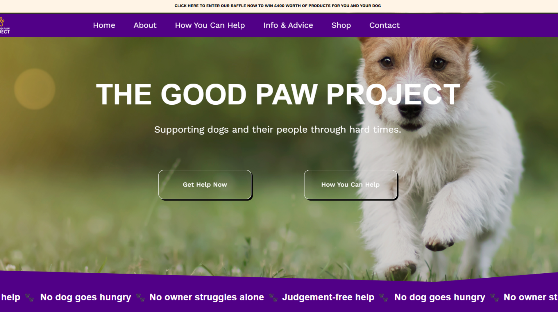 Website Build for The Good Paw Project