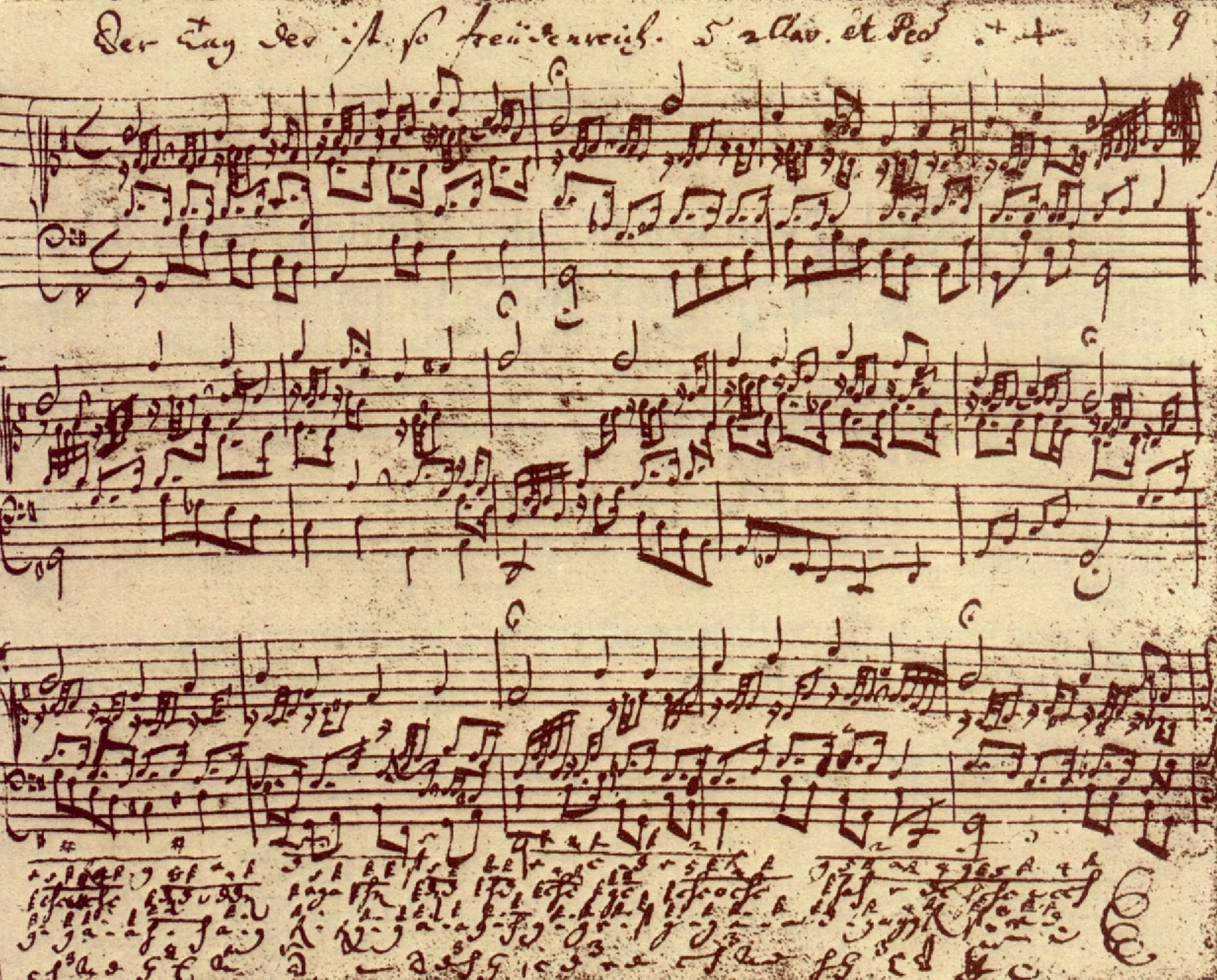 Book review: The Music of Life by Denis Noble