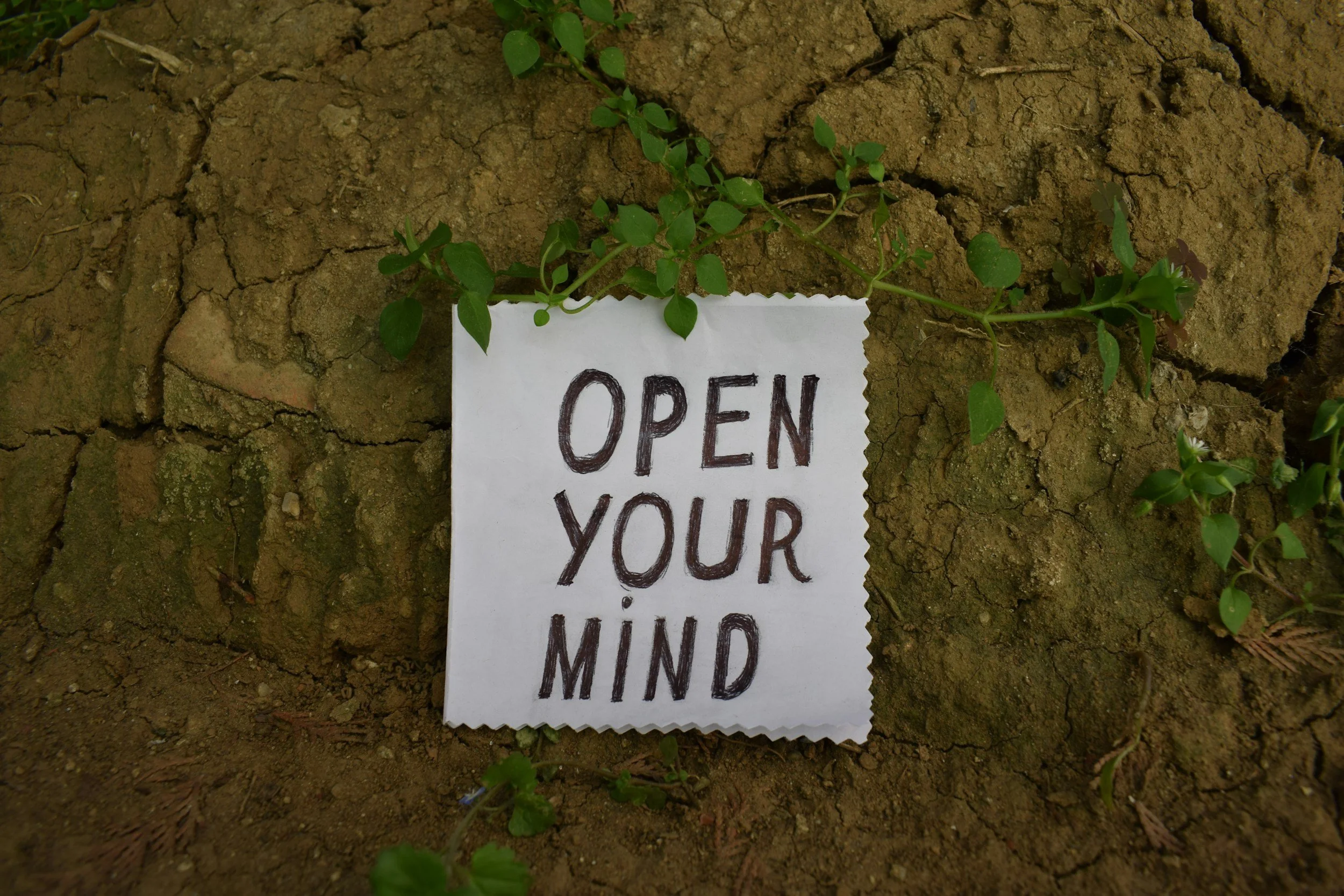 Changing Your Mind