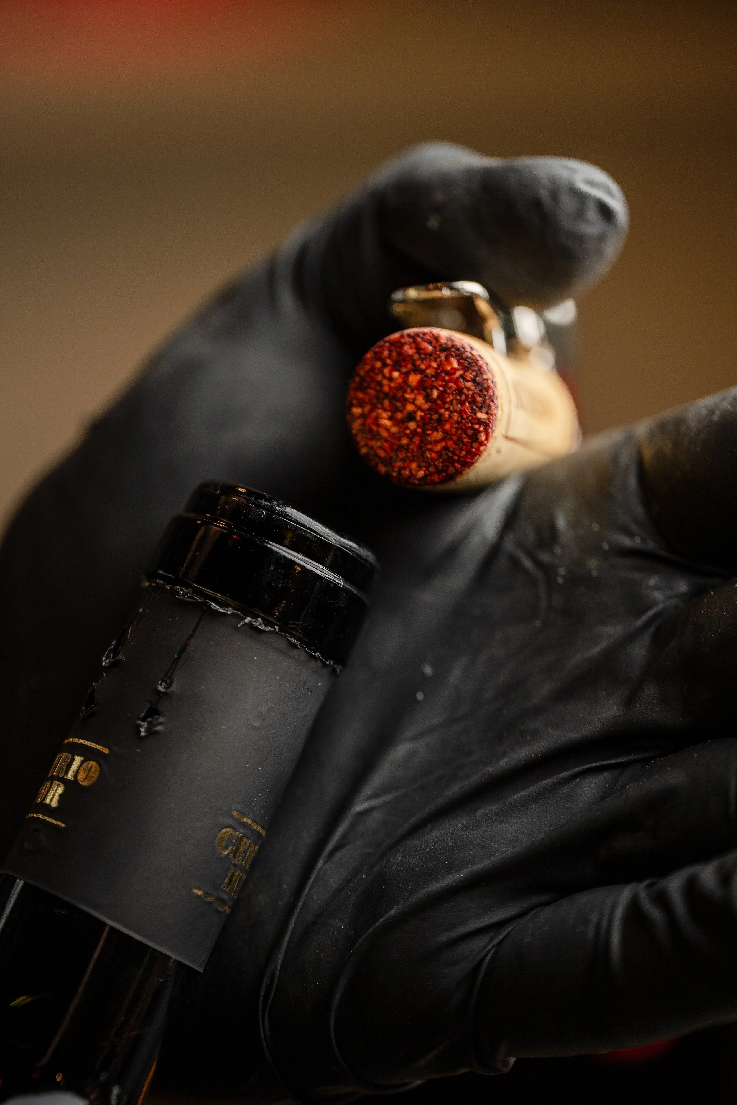 Posh Bar 11.12.25-46.jpg