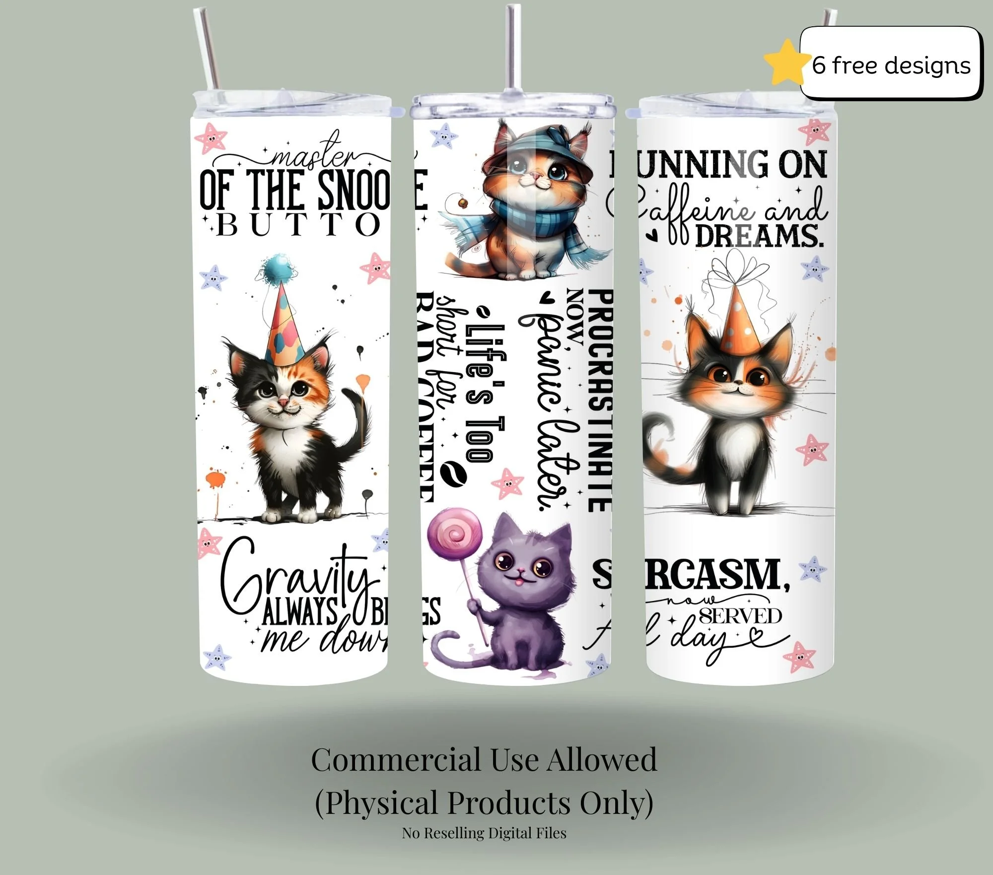 6.jpg (Copy) (Copy) (Copy)