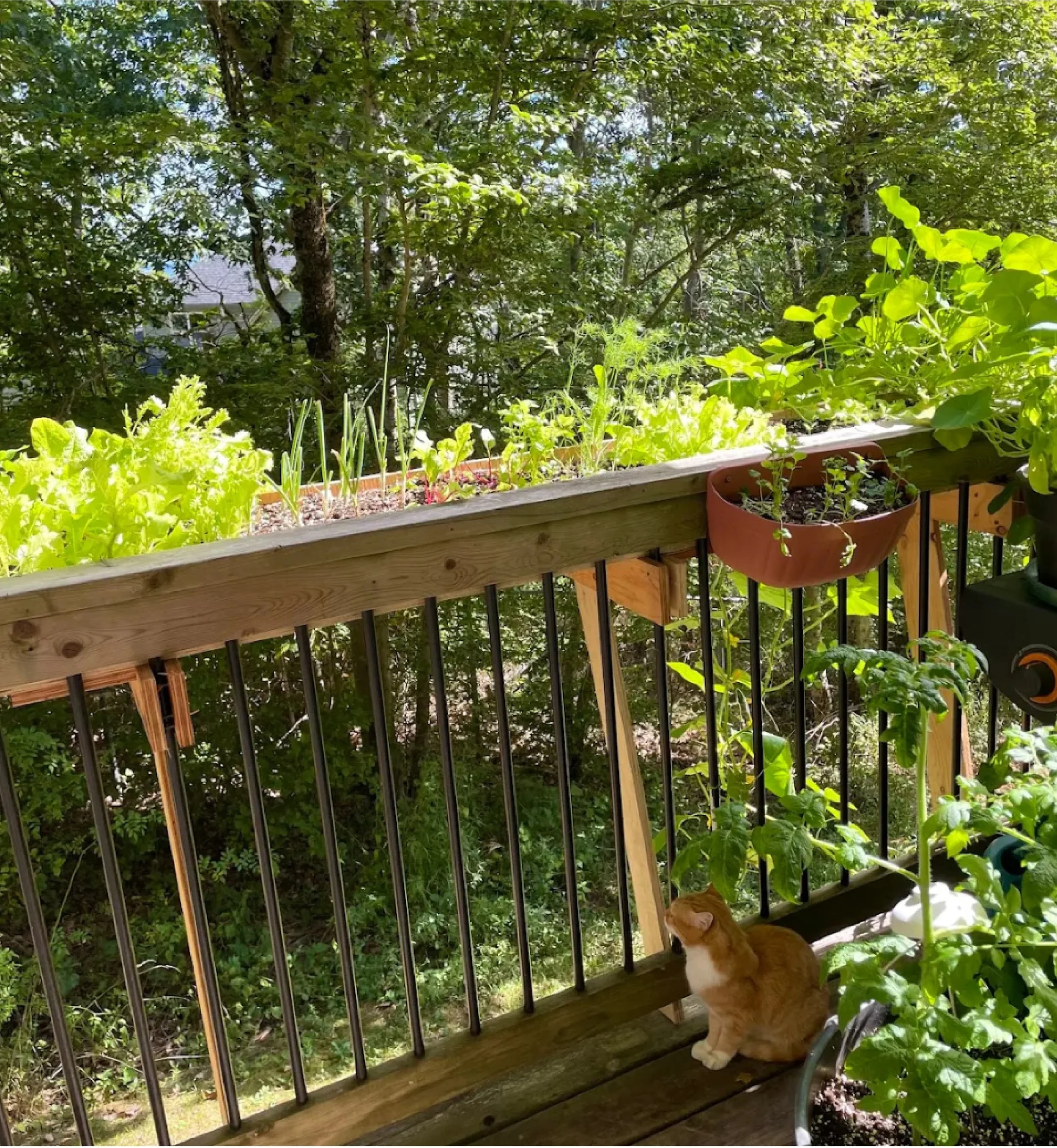 Balcony garden setup and outdoor improvement project for a residential space in Bedford