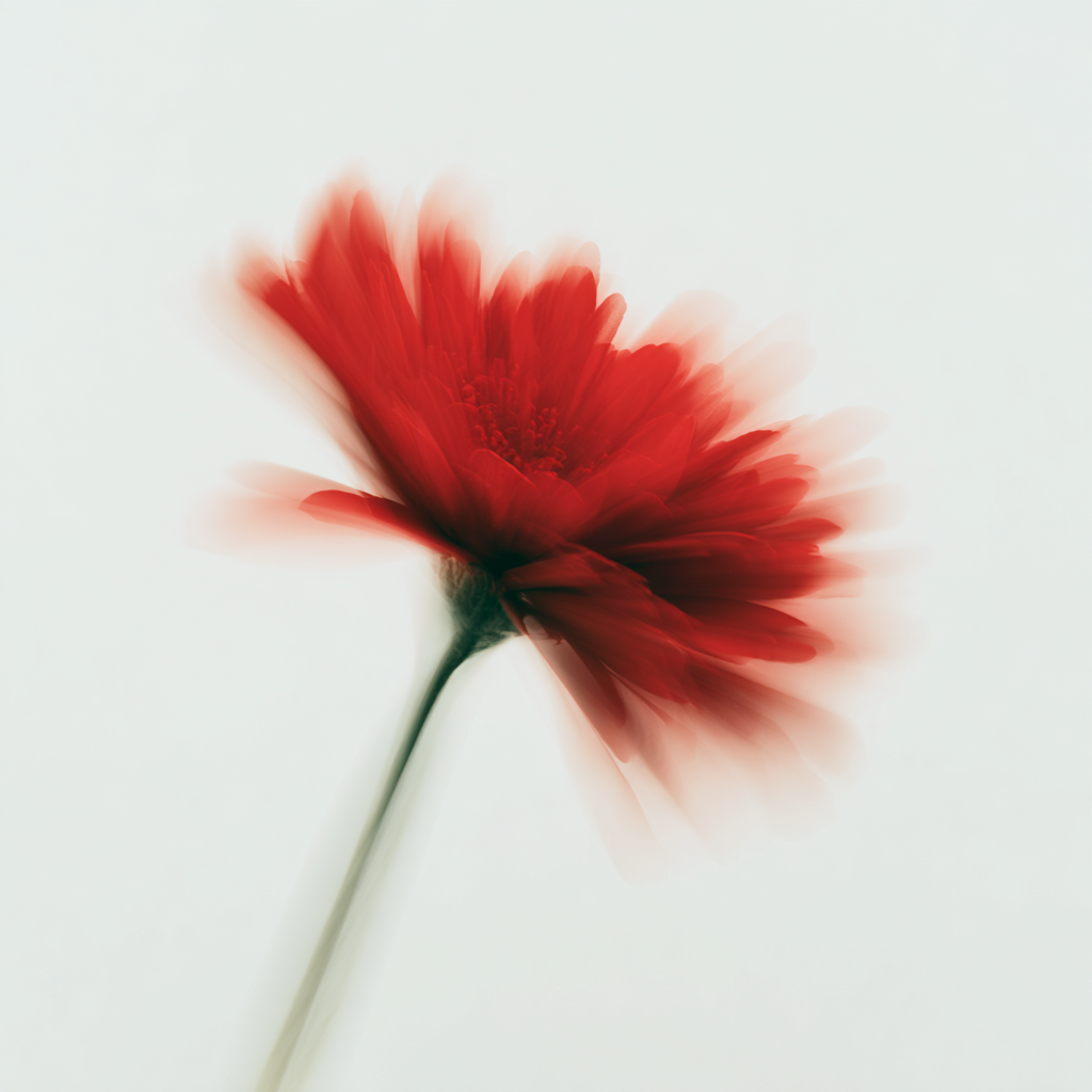 paulasanchezs_Horizontal_motion-blur_photograph_of_a_single_r_e5e82b96-0216-48ca-afad-9a390a9f95d3_3.png