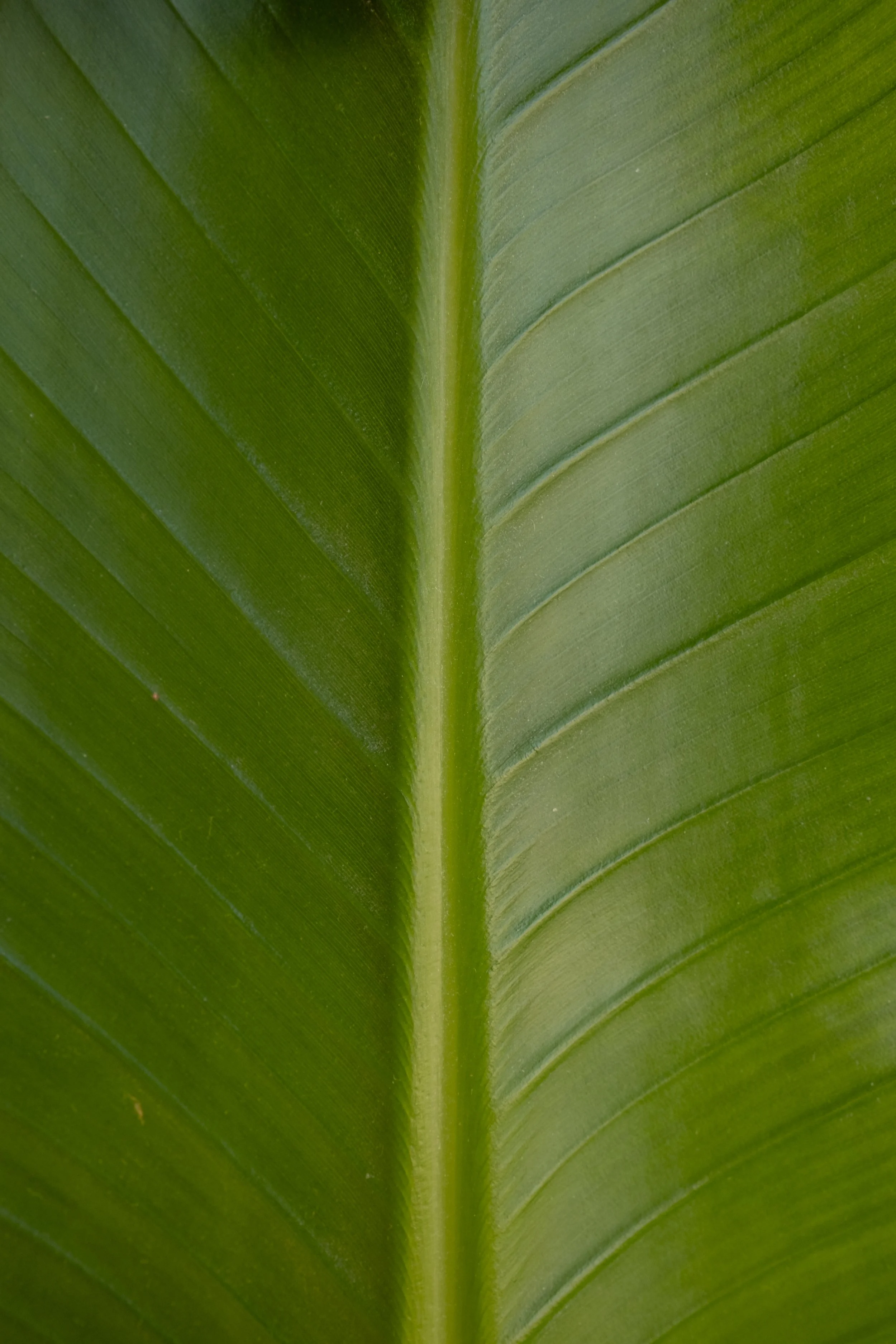 DSCF2582.jpg