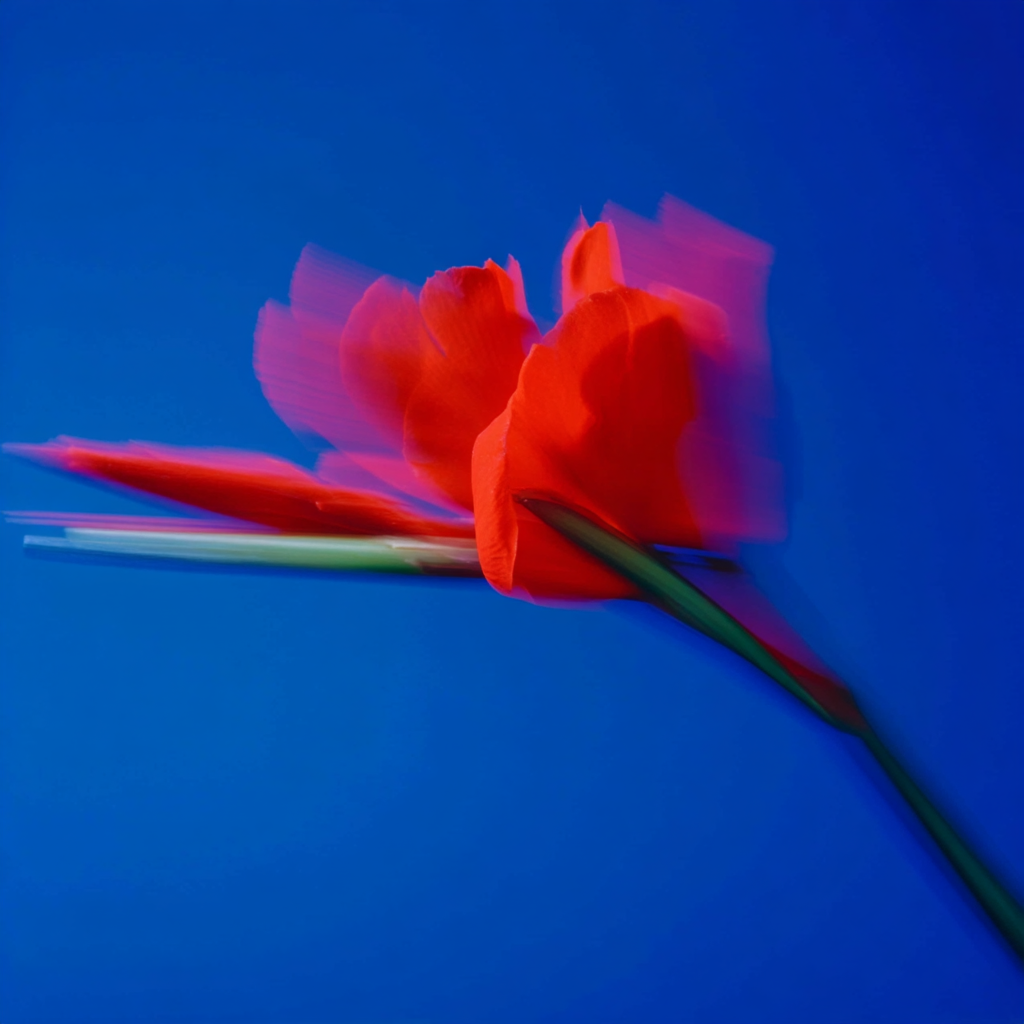 paulasanchezs_httpss.mj.runhnKBoTBpsI8_Horizontal_motion-blur_d8417ff7-e1c1-4731-9e72-2cd57d71a386_1.png