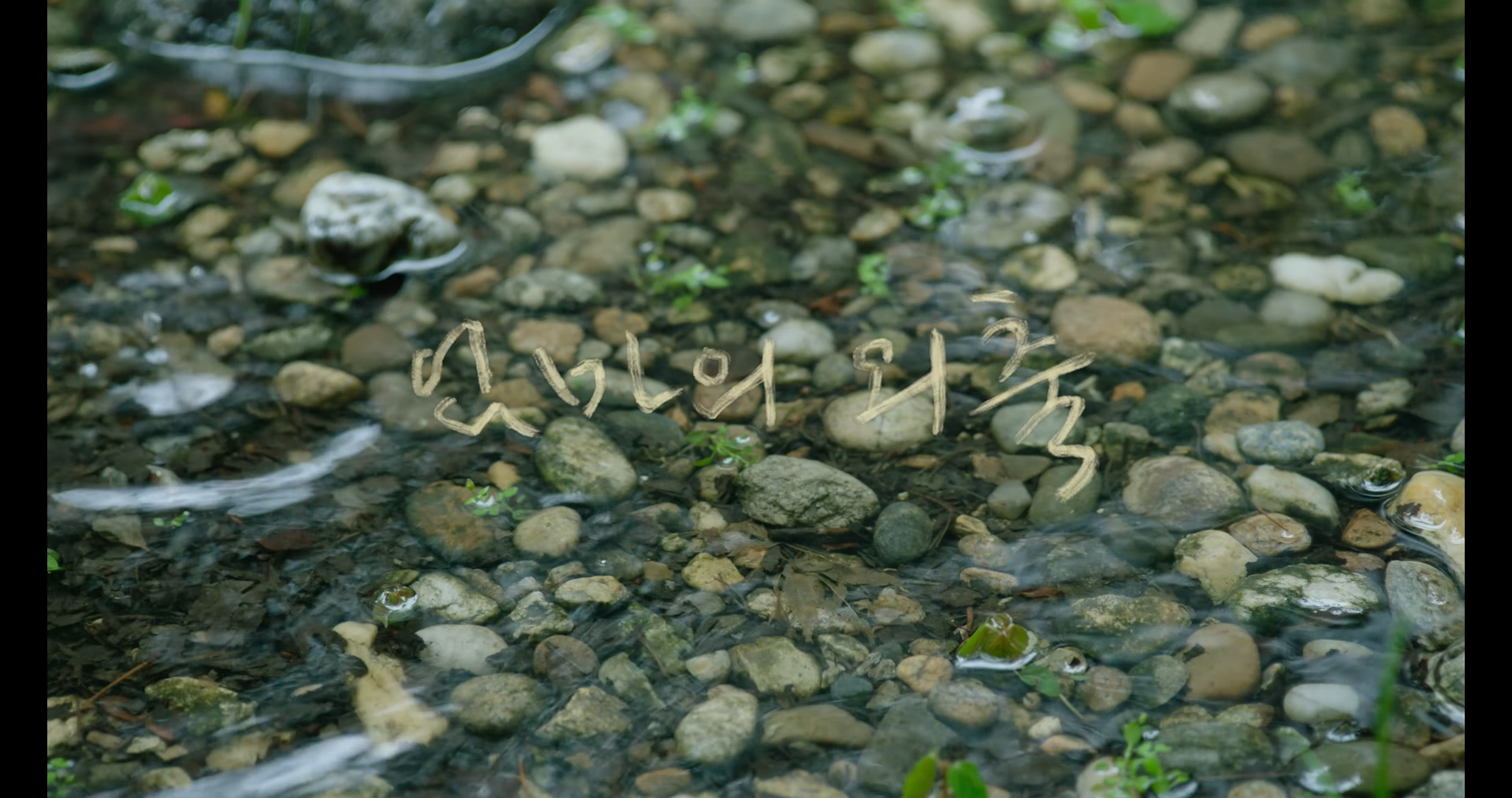 2023_엄마의 외출 1-19 screenshot.png