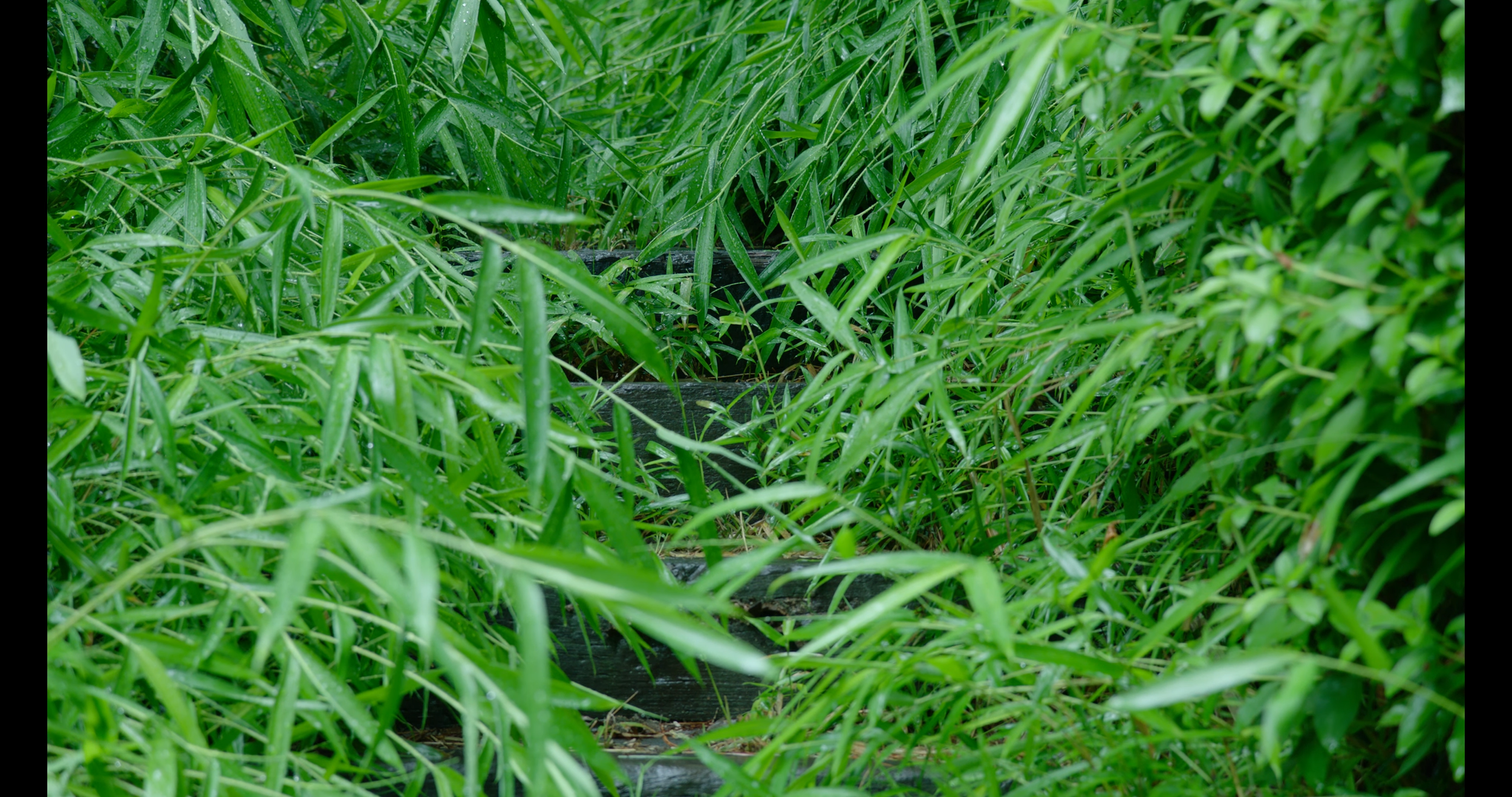 2023_엄마의 외출 8-51 screenshot.png