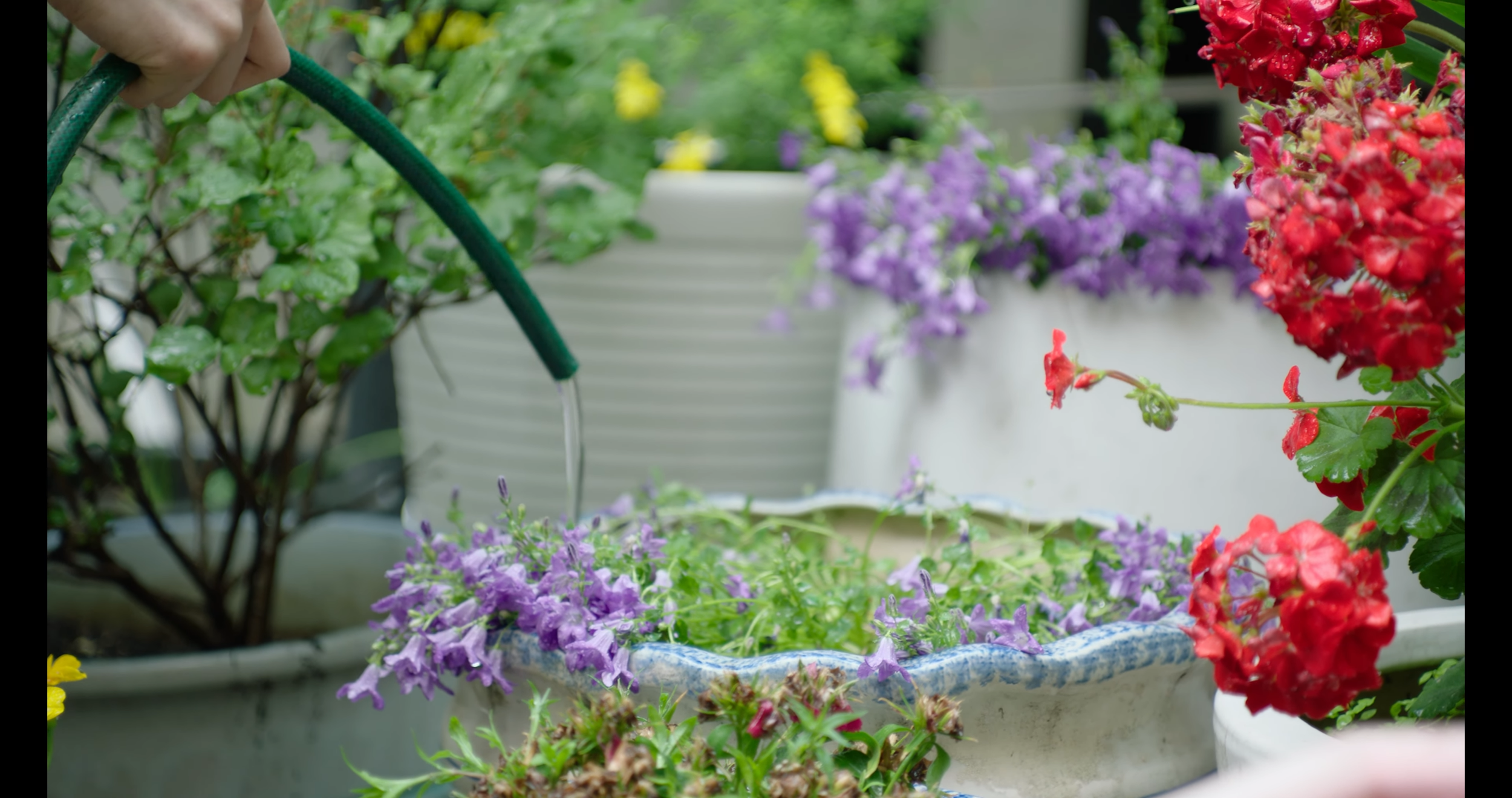 2023_엄마의 외출 2-33 screenshot.png