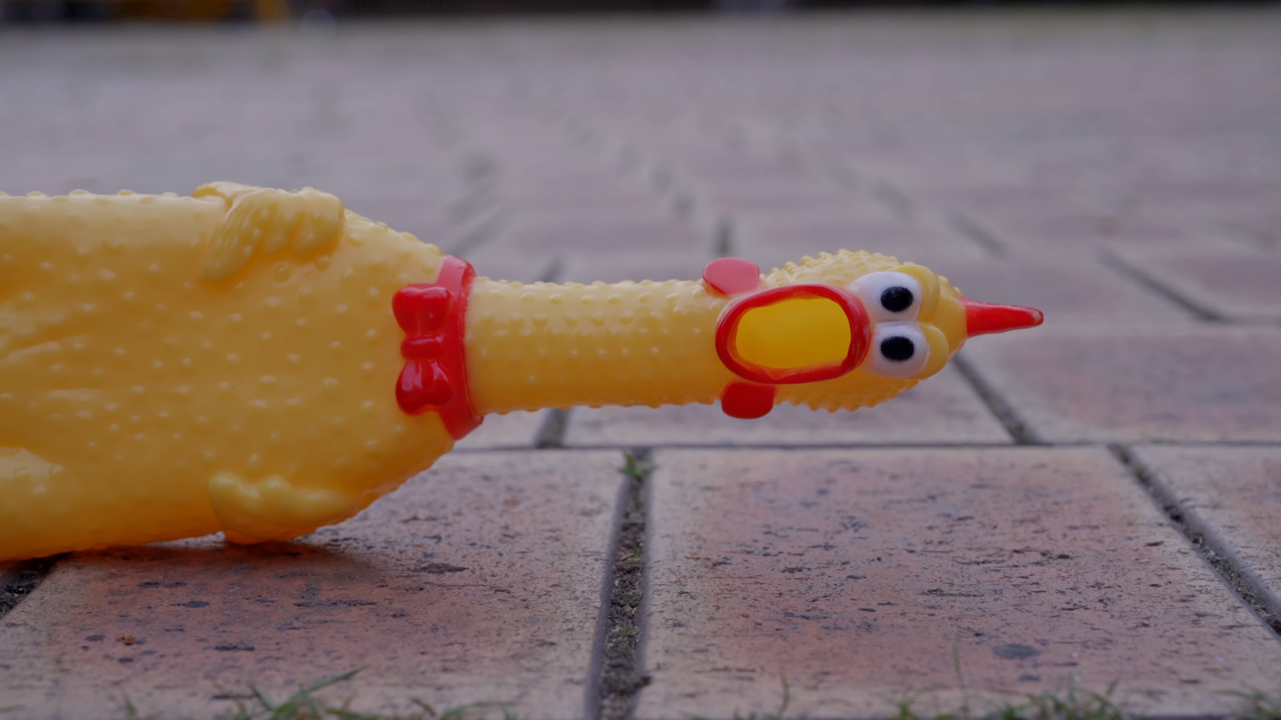 2023_닭이 먼저냐 달걀이 먼저냐 22-17 screenshot.png