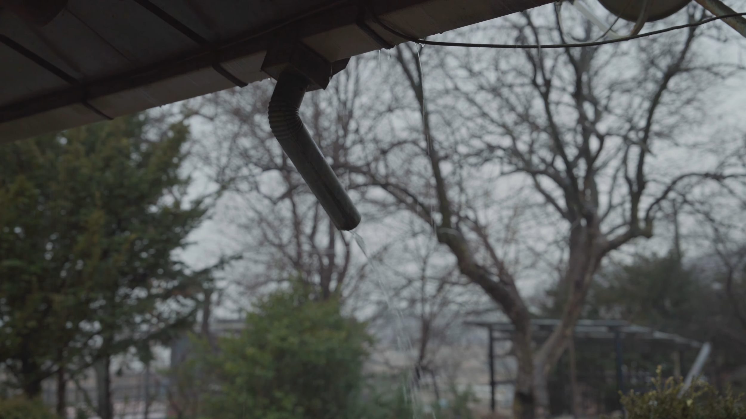 착각 19-31 screenshot.png