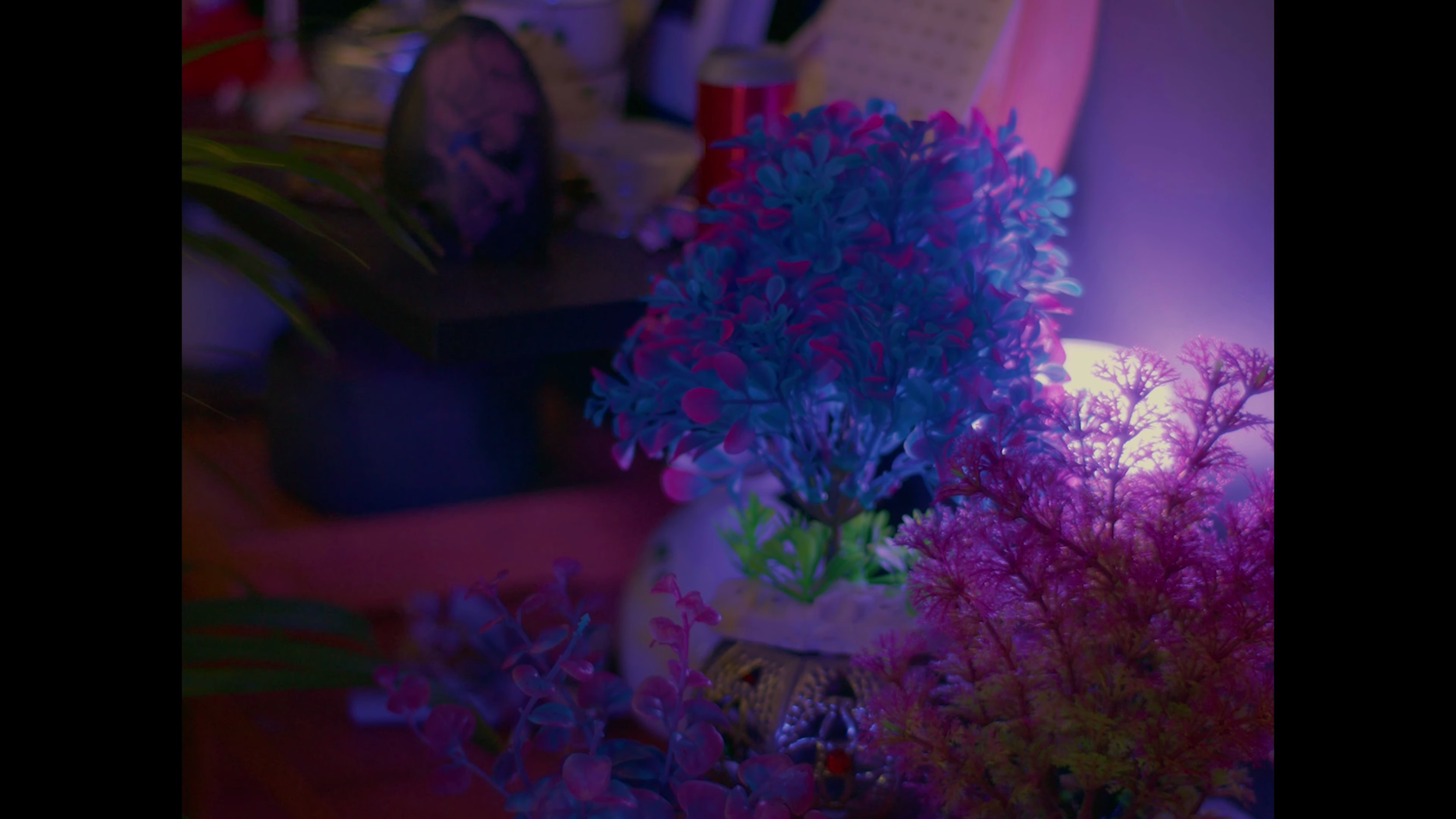 2024_10_찐따 외계인 6-39 screenshot.png