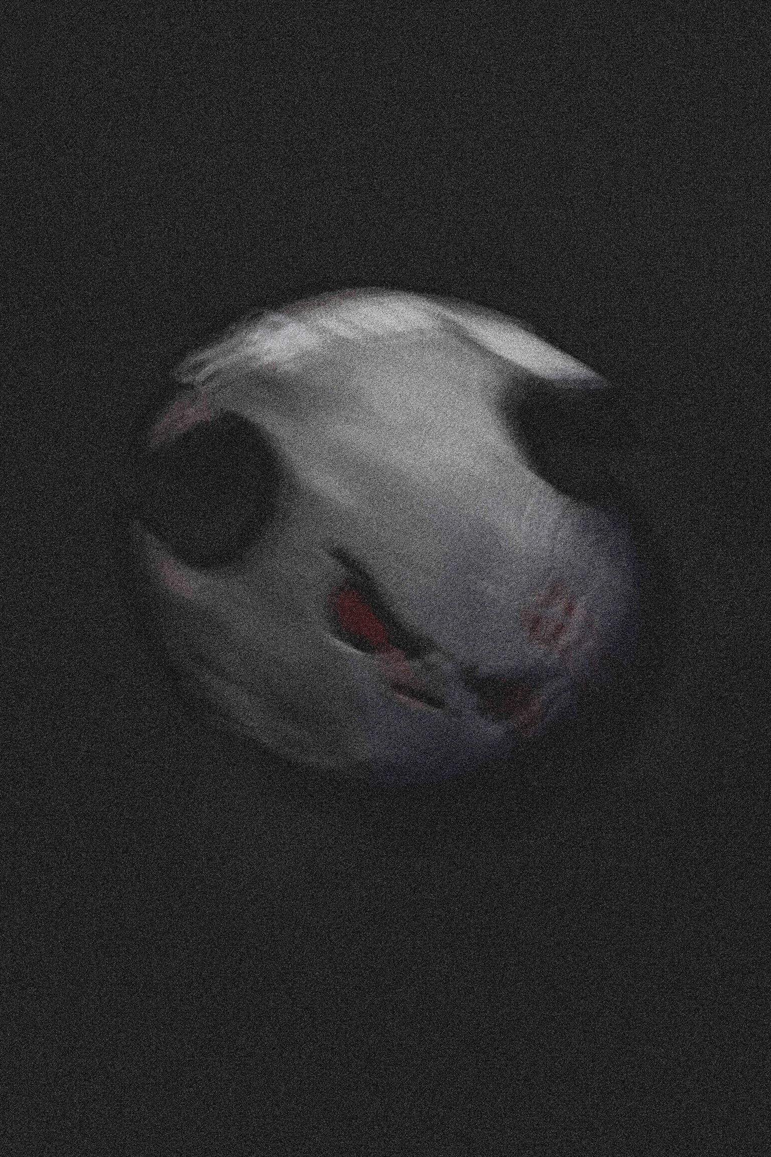 25-mask.jpg