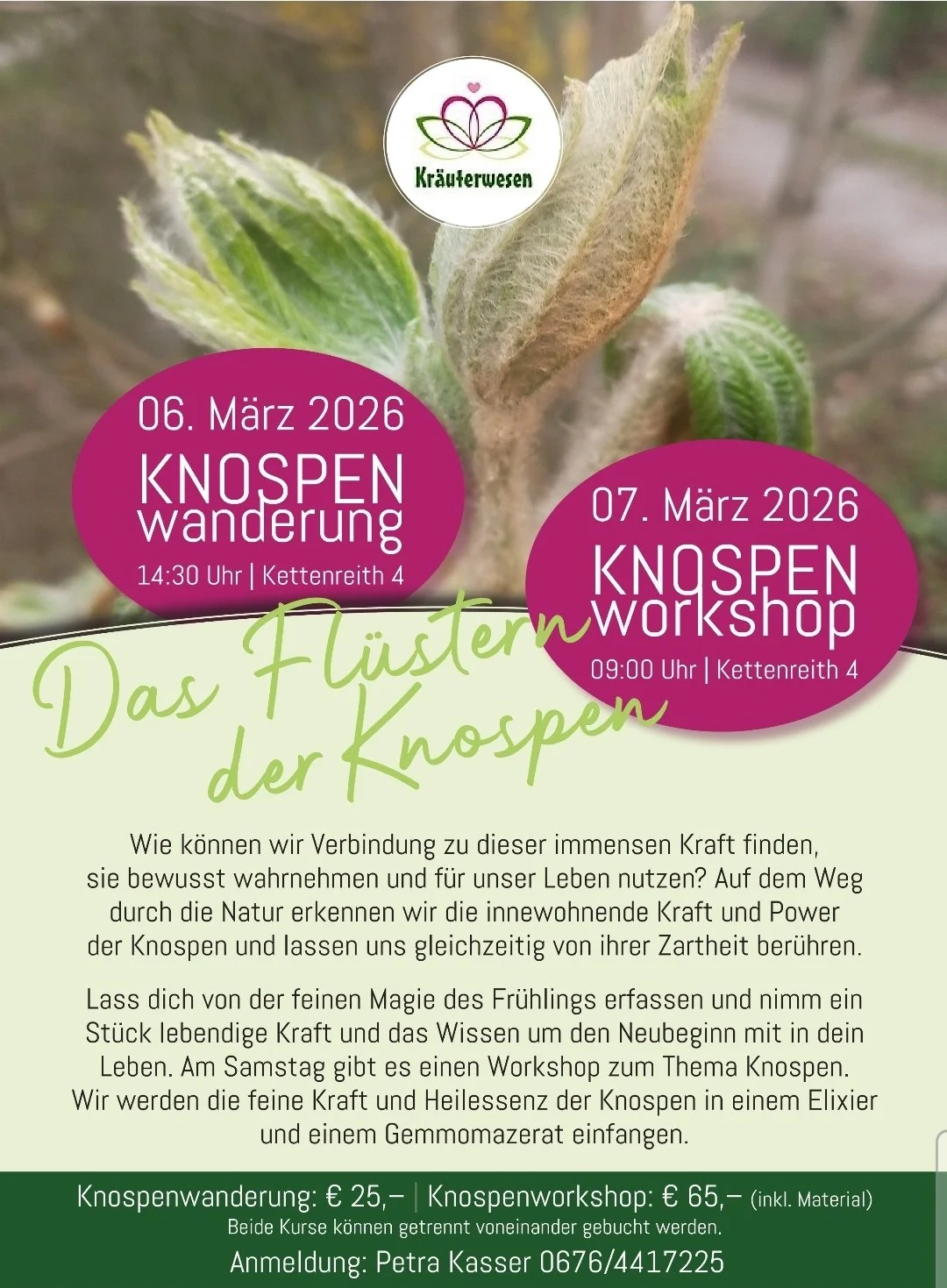 Screenshot_20260227_093306_GMX Mail.jpg