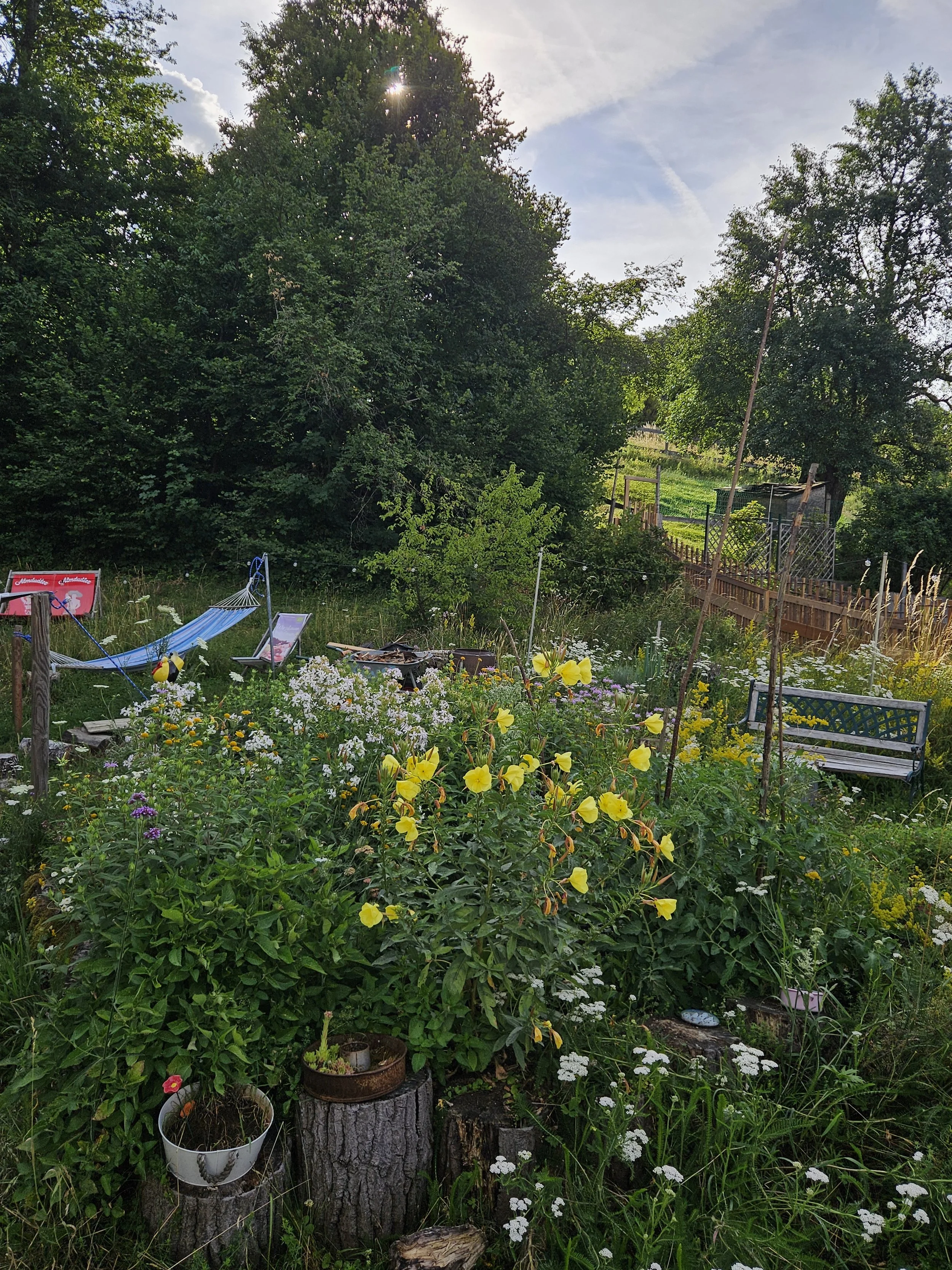 Pflanzen im eigenen Garten