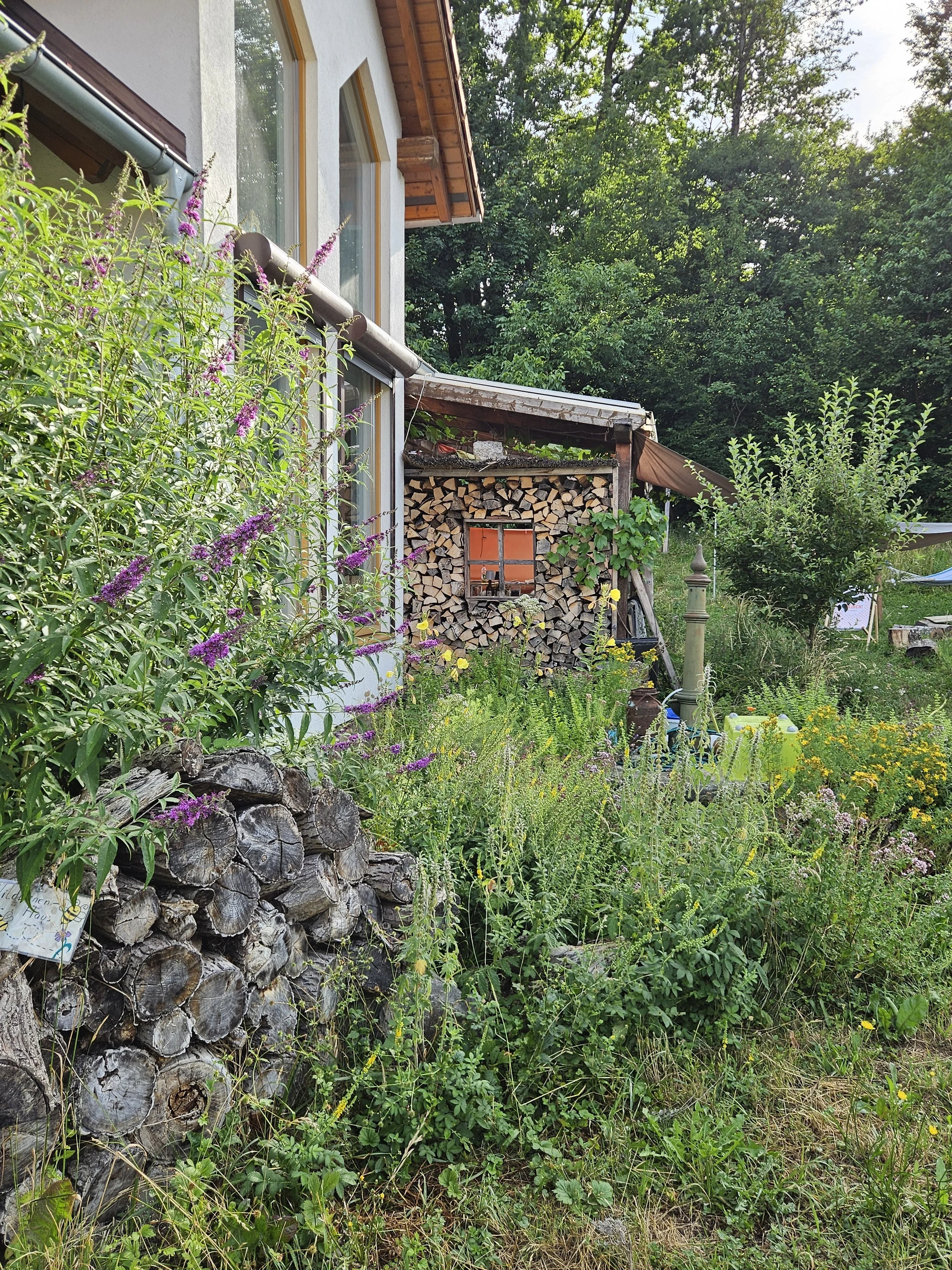 Pflanzen im eigenen Garten bestimmen