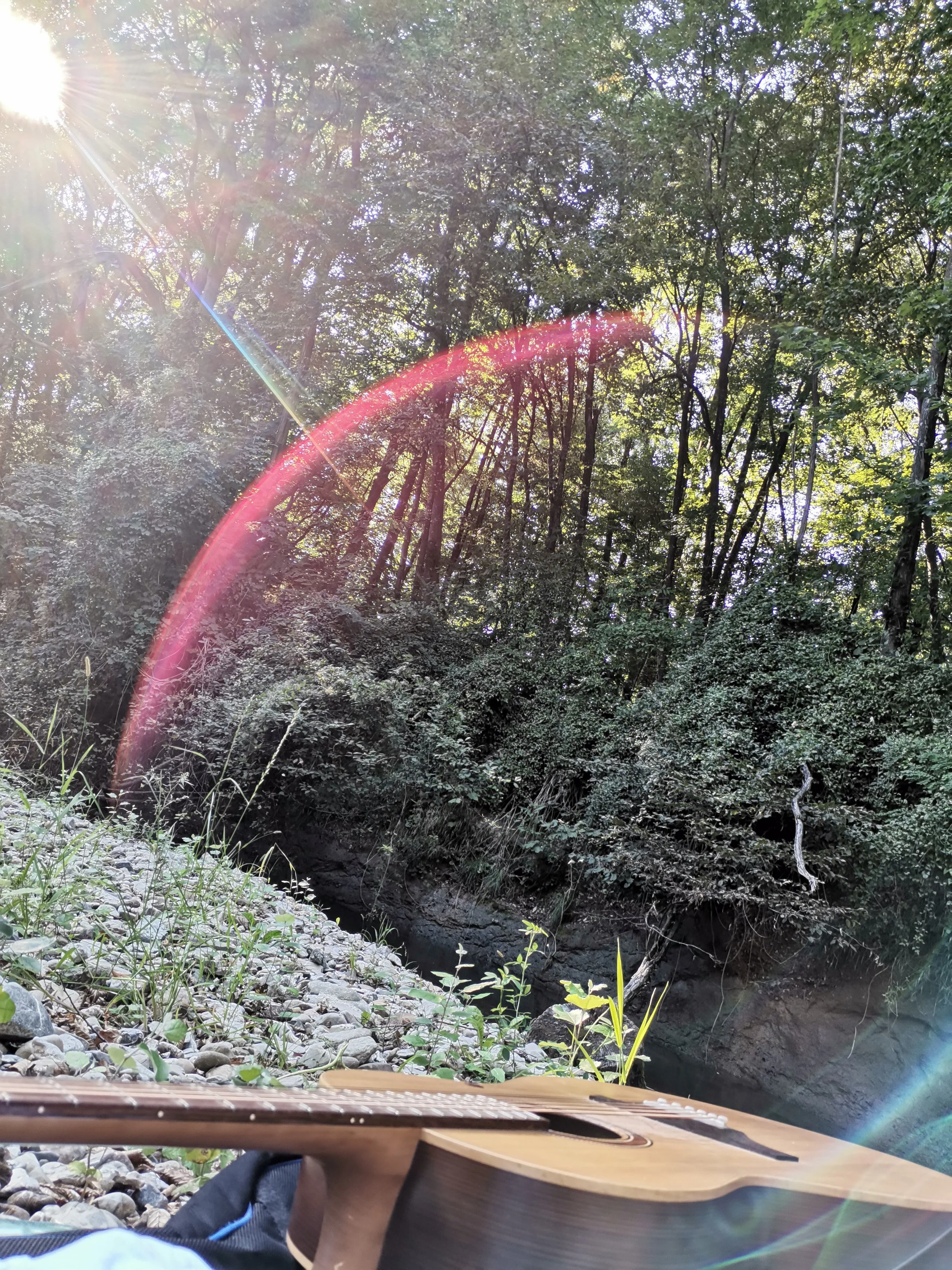 7.9.23, an der Mank (1).jpg