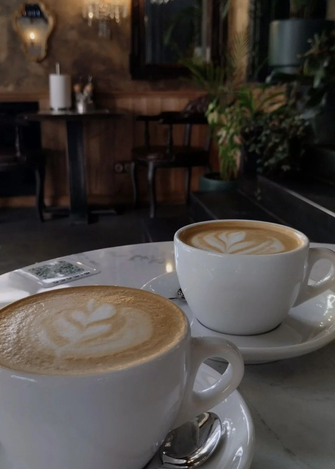 Two cups of latte with latte art on a white plate in a cozy coffee shop with wood decor and green plants in the background.