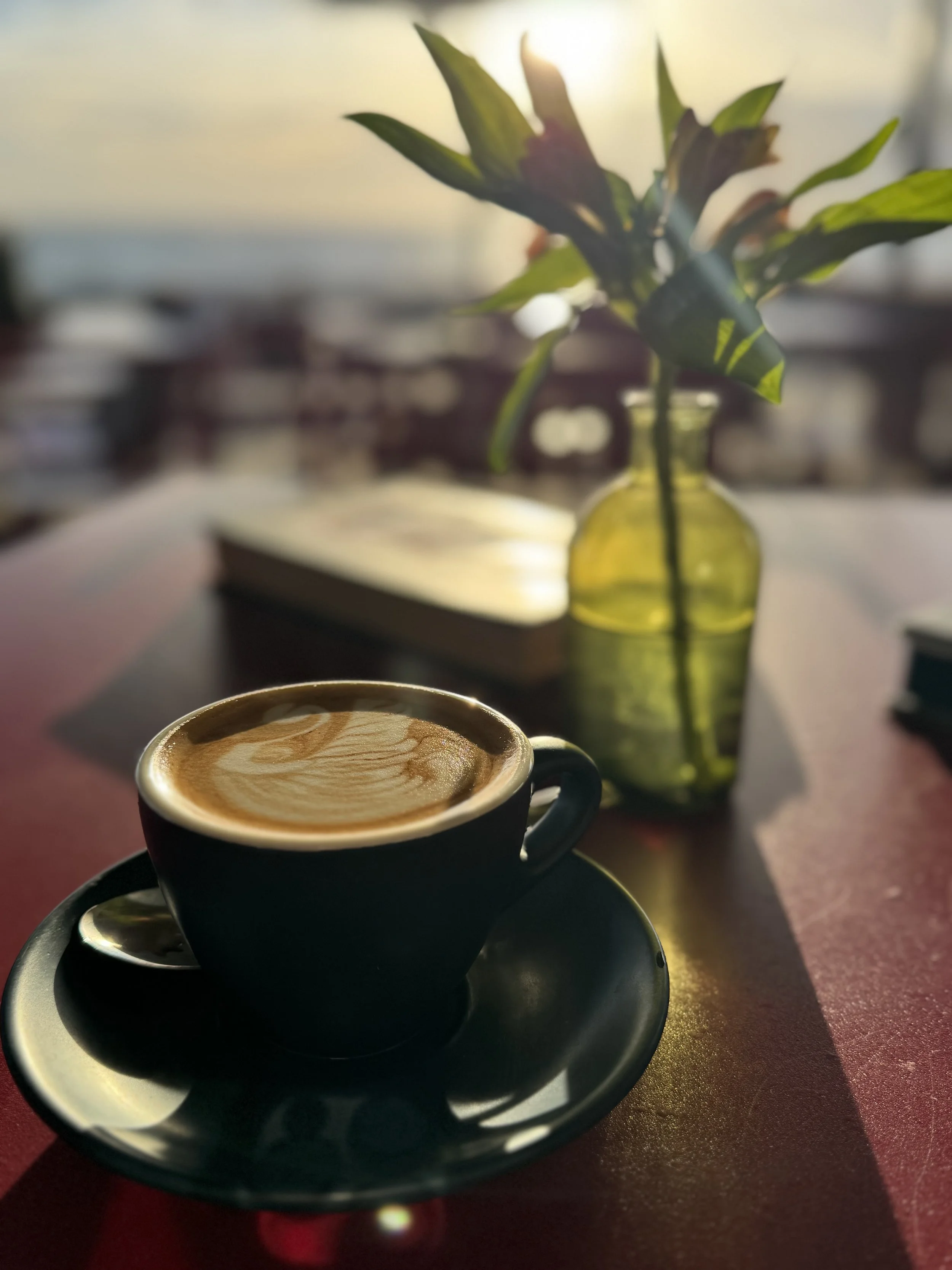 A black coffee cup with a saucer and spoon on a table, with a green vase holding leafy plant and an open book in the background, bathed in warm sunlight.