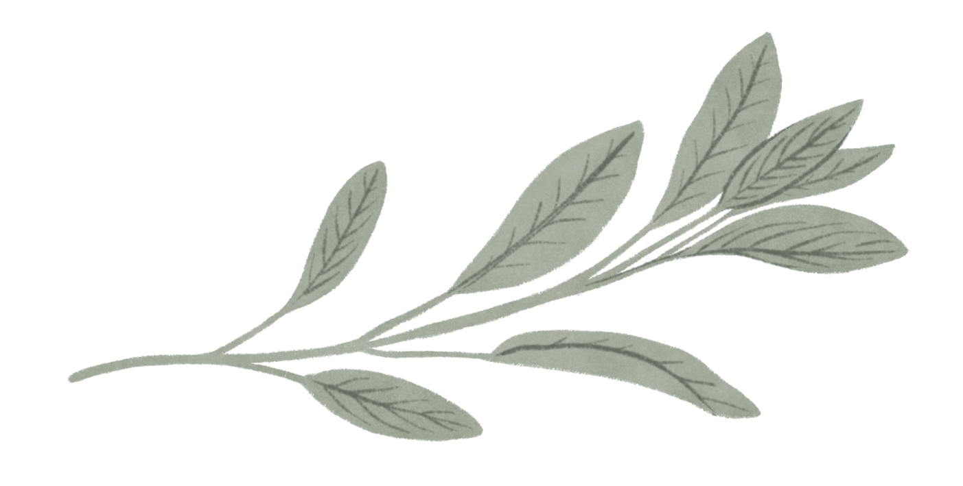 Feuilles de mémoire en papier gris avec veines visibles, disposées en bouquet horizontal.