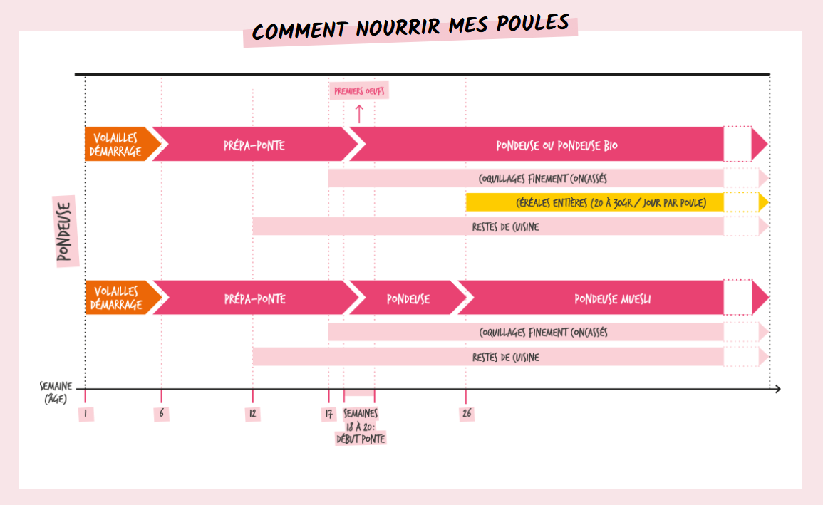 Capture d'écran 2026-08-28 161337.png
