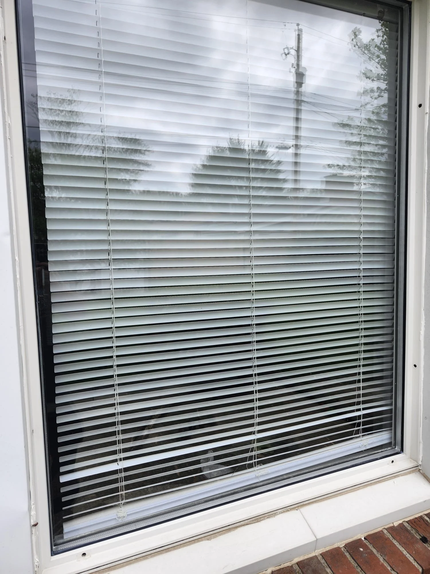 New Window Installation Services