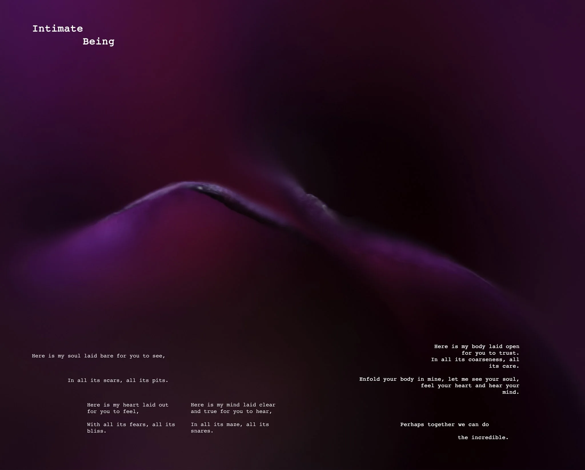 Intimate Beings copy.jpg