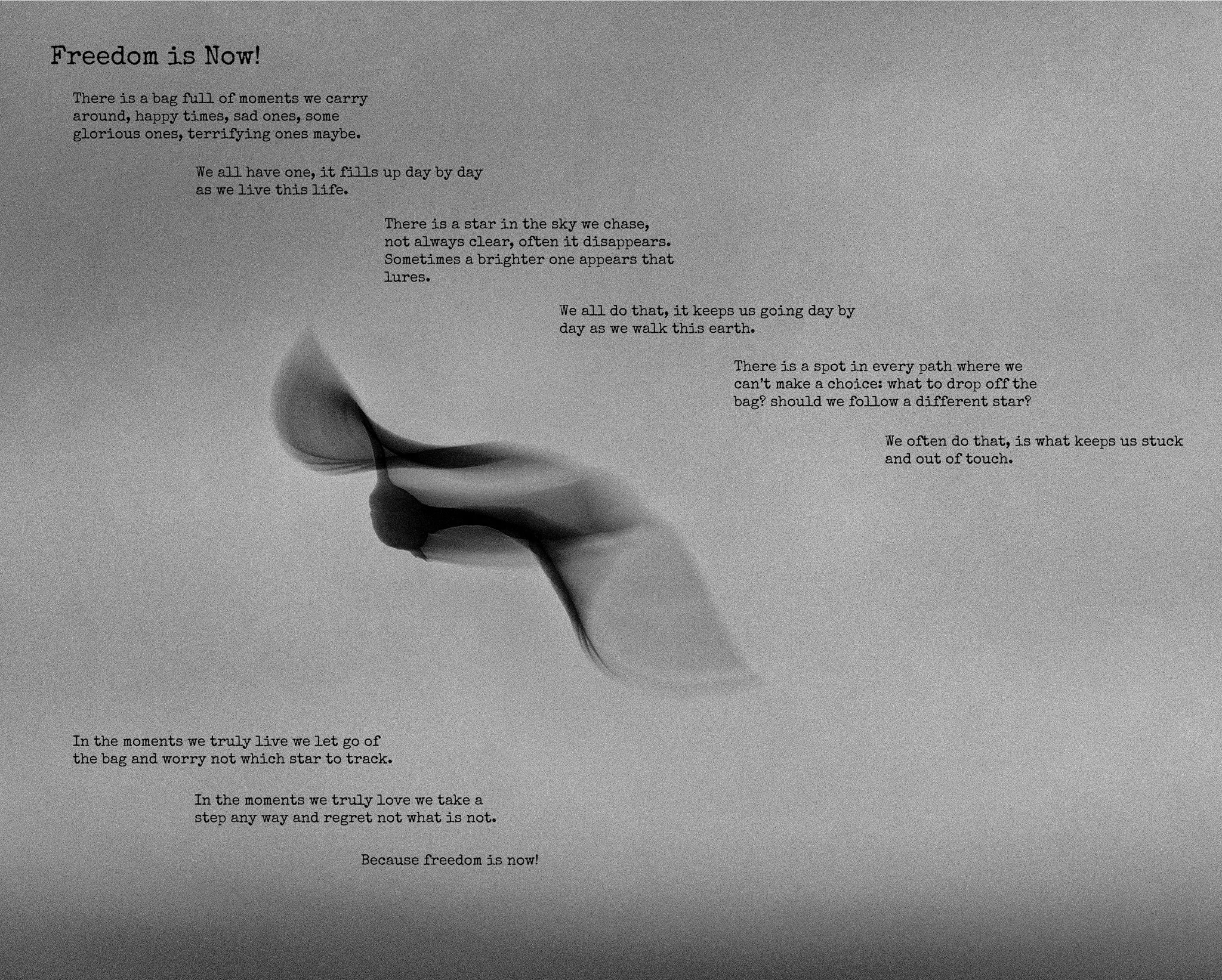 Freedom is Now! copy.jpg