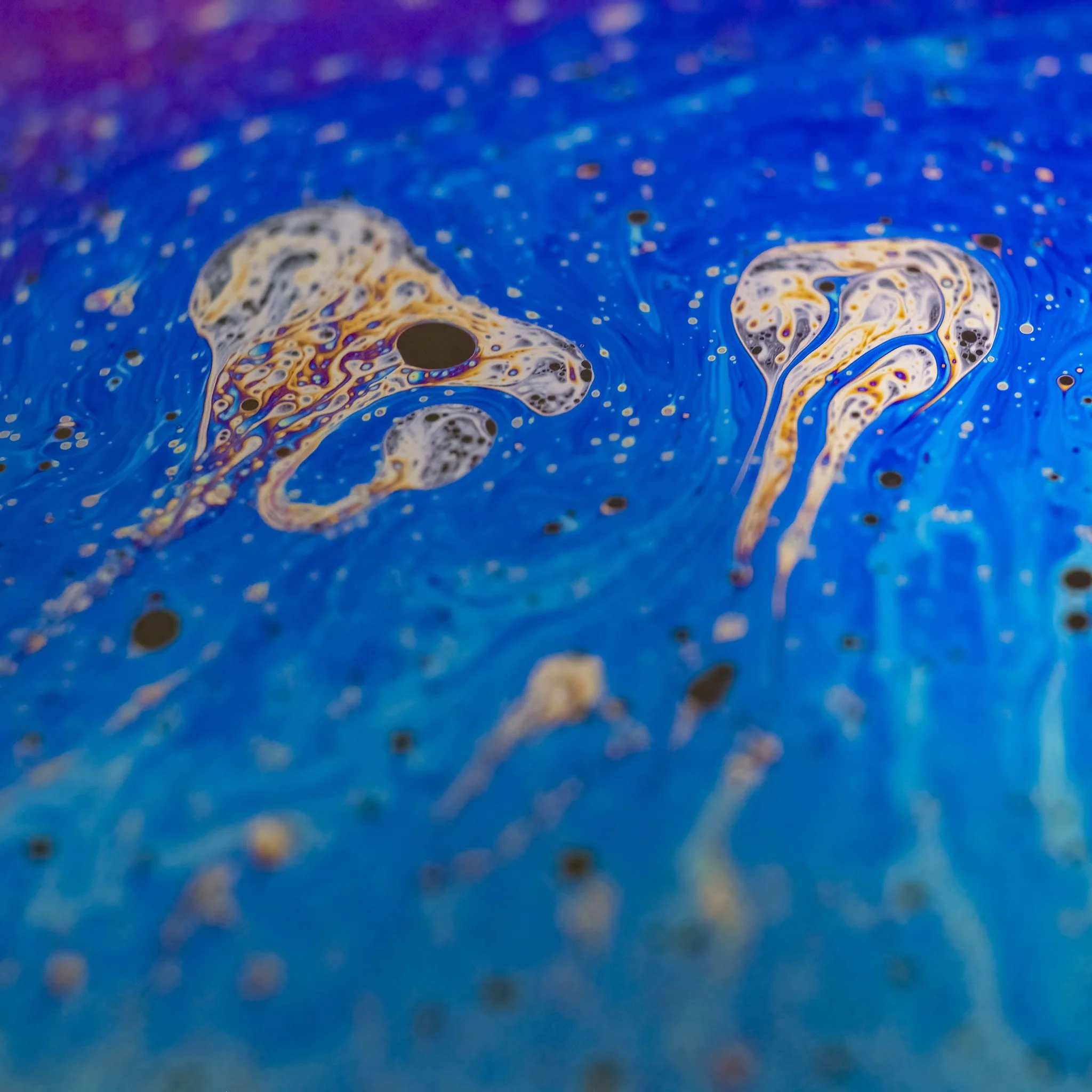 20220129 - Z72_4468 copy.jpg