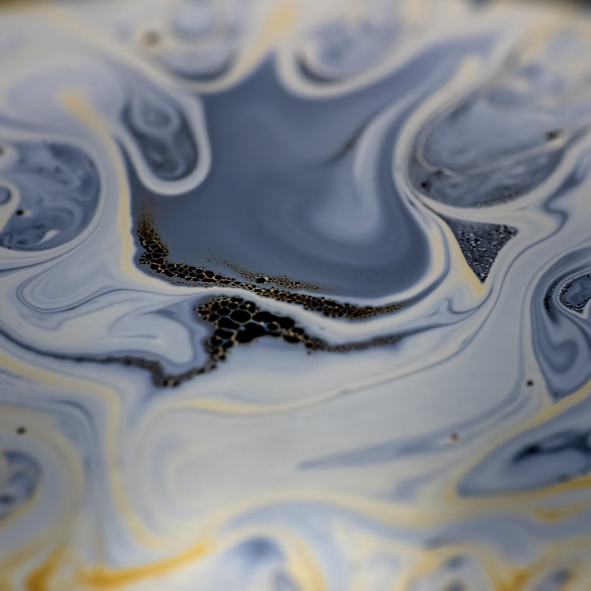 20220205 - Z72_5517 copy.jpg