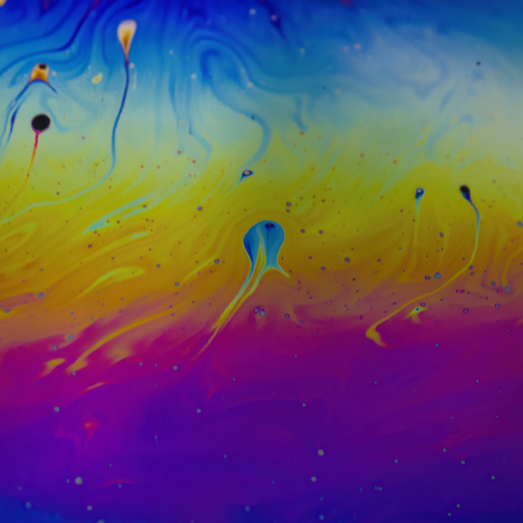 20220205 - _D7K7745 copy.jpg