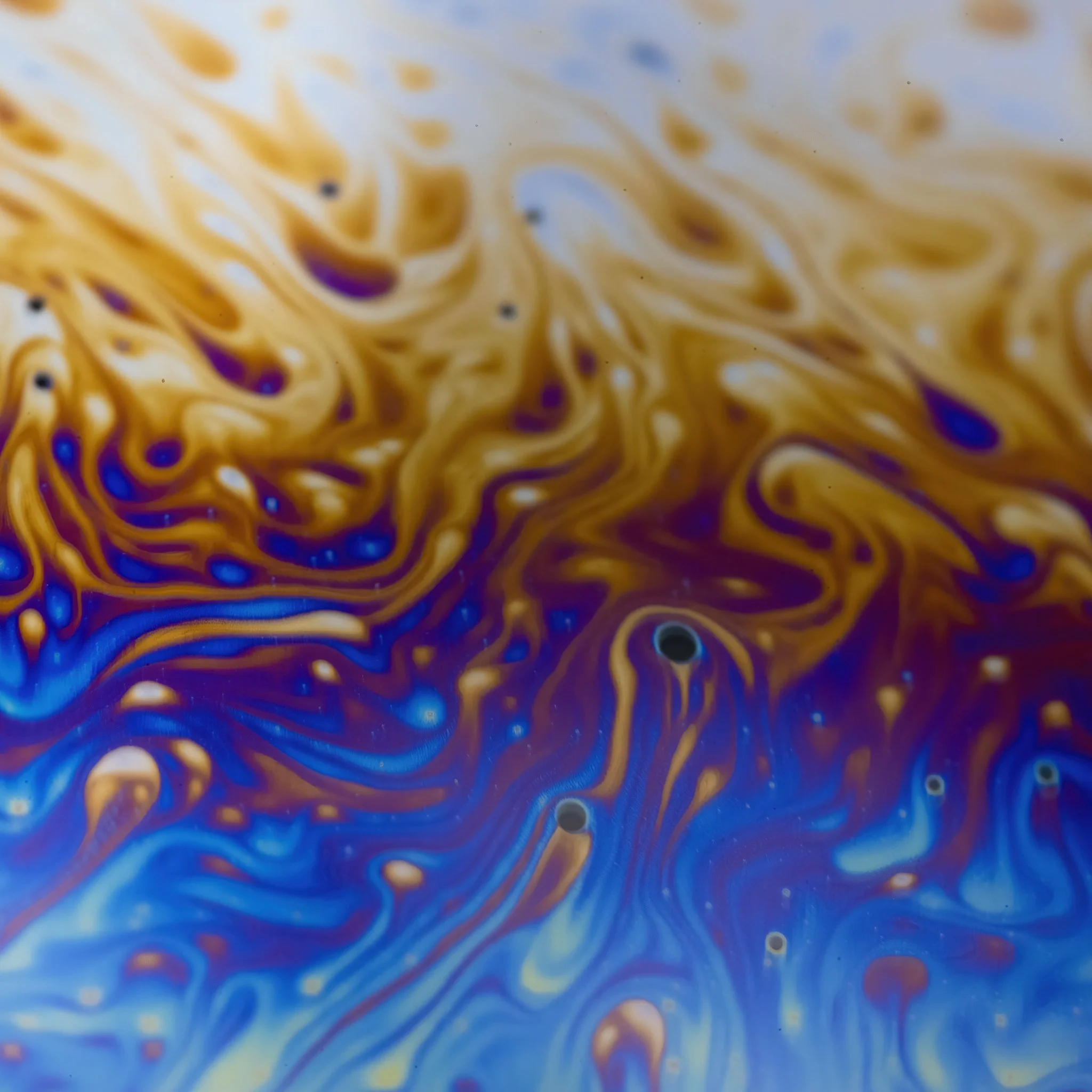 20220209 - Z72_5888 copy.jpg