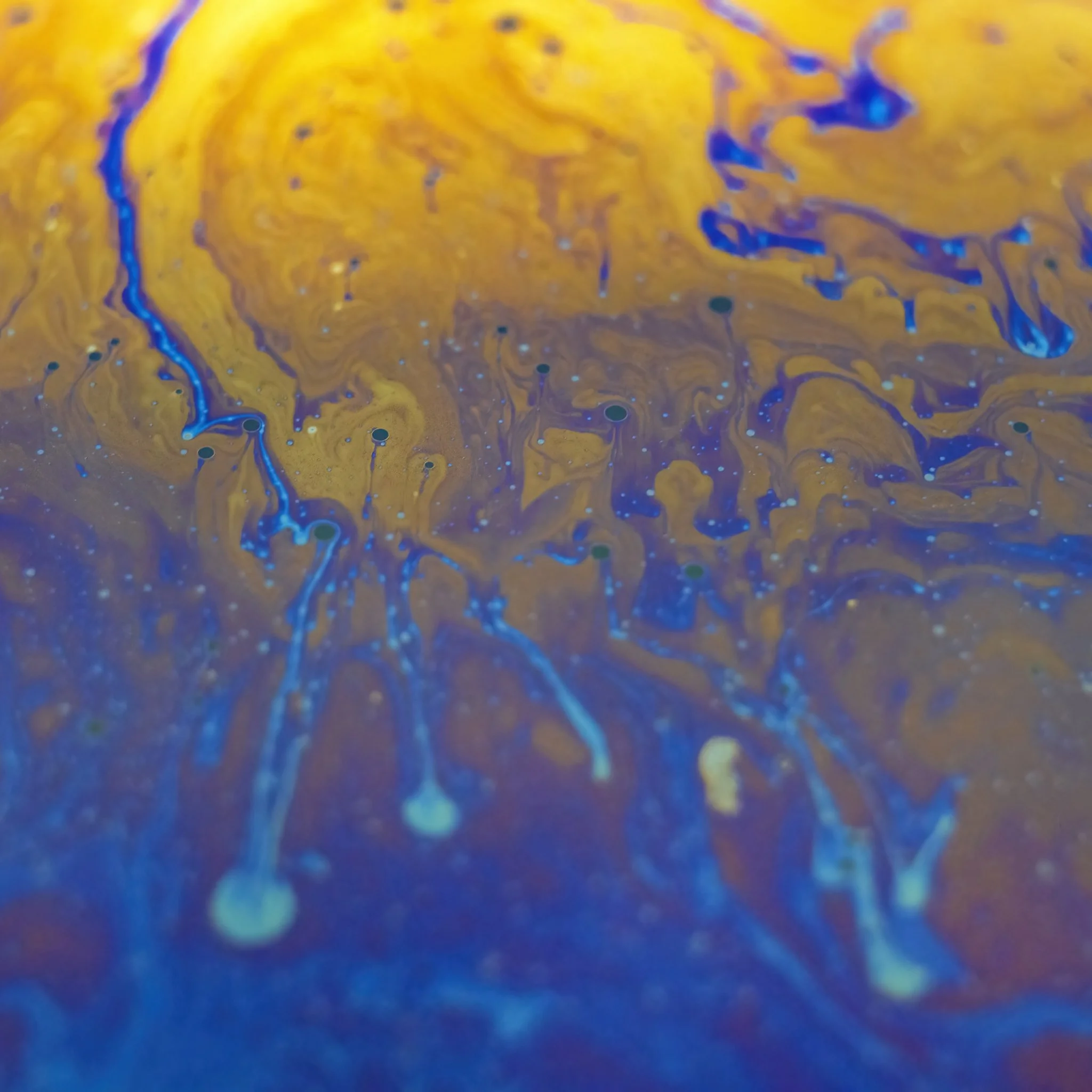 20220129 - Z72_4633 copy.jpg