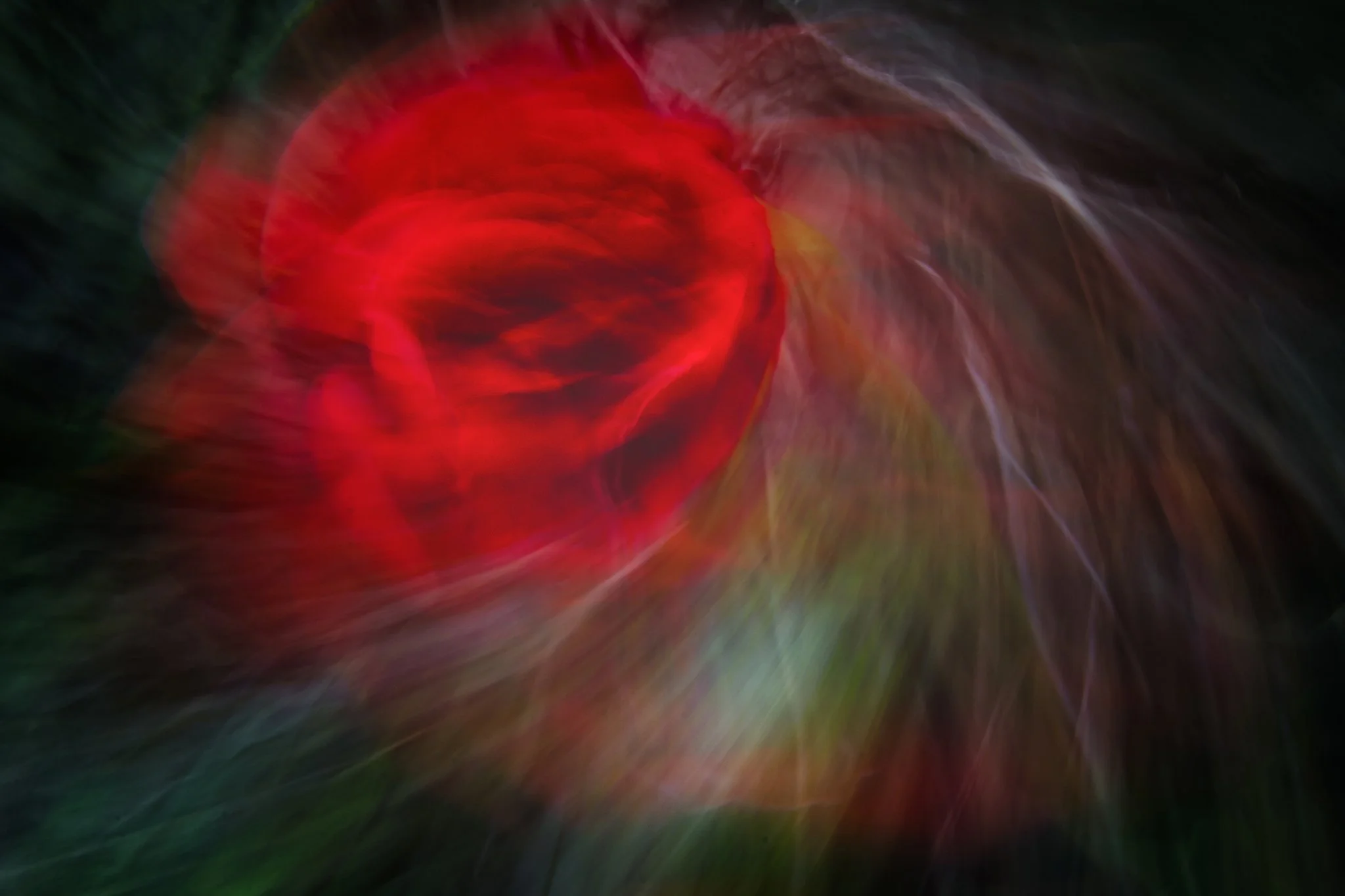 A moment of Distraction copy.jpg