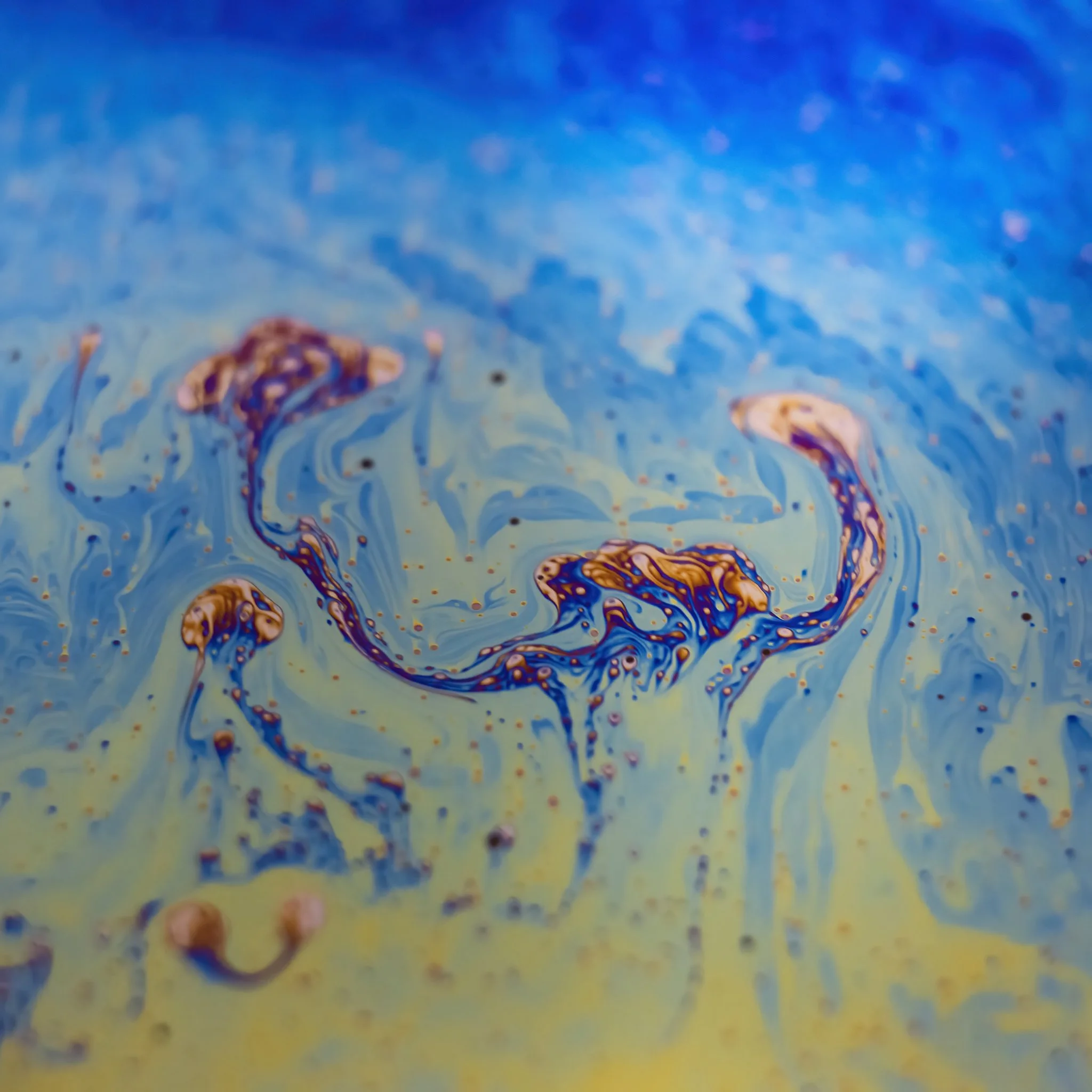 20220129 - Z72_4042 copy.jpg