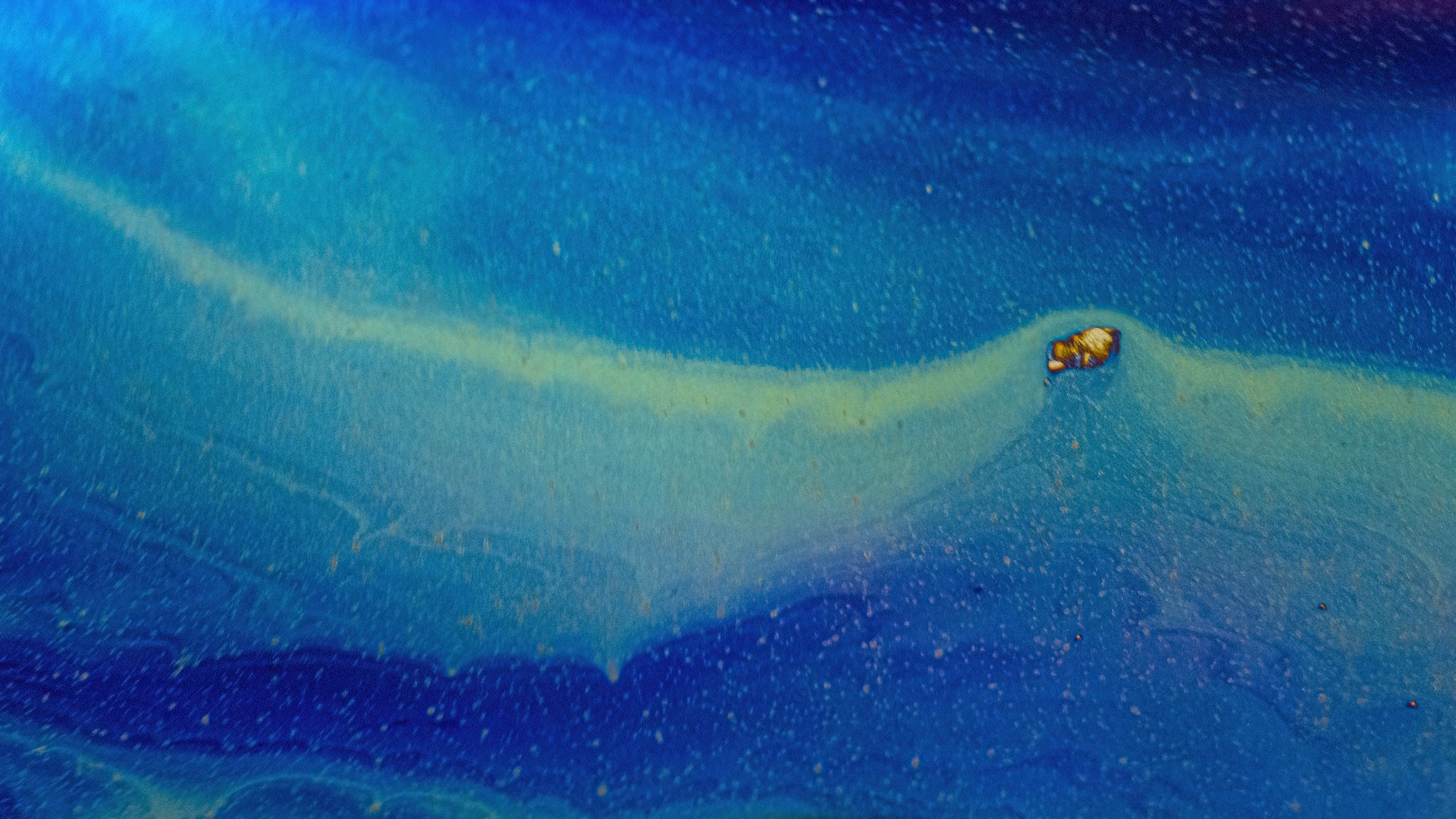 20220130 - Z72_4992 copy.jpg