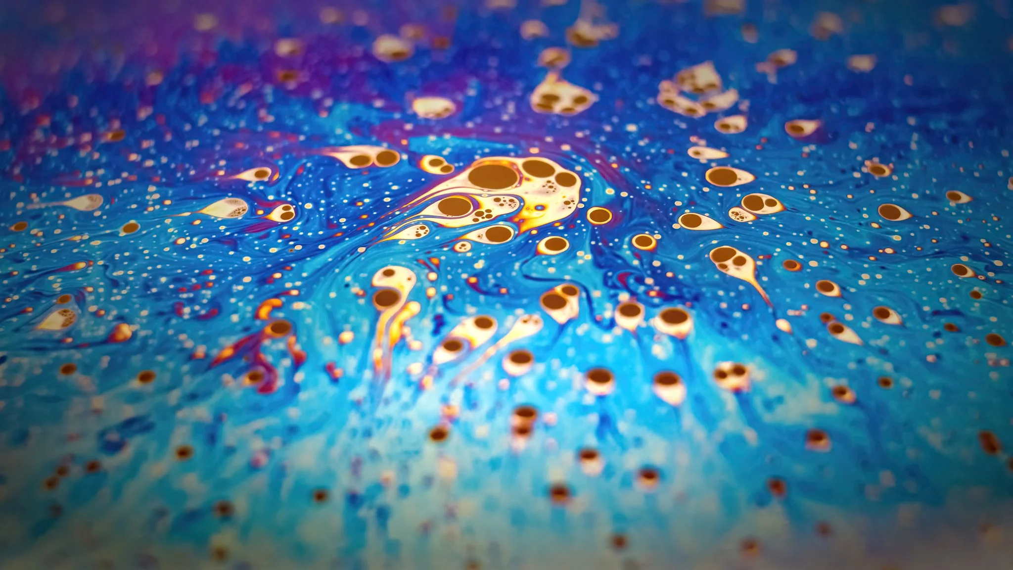 20220129 - Z72_4741 copy.jpg