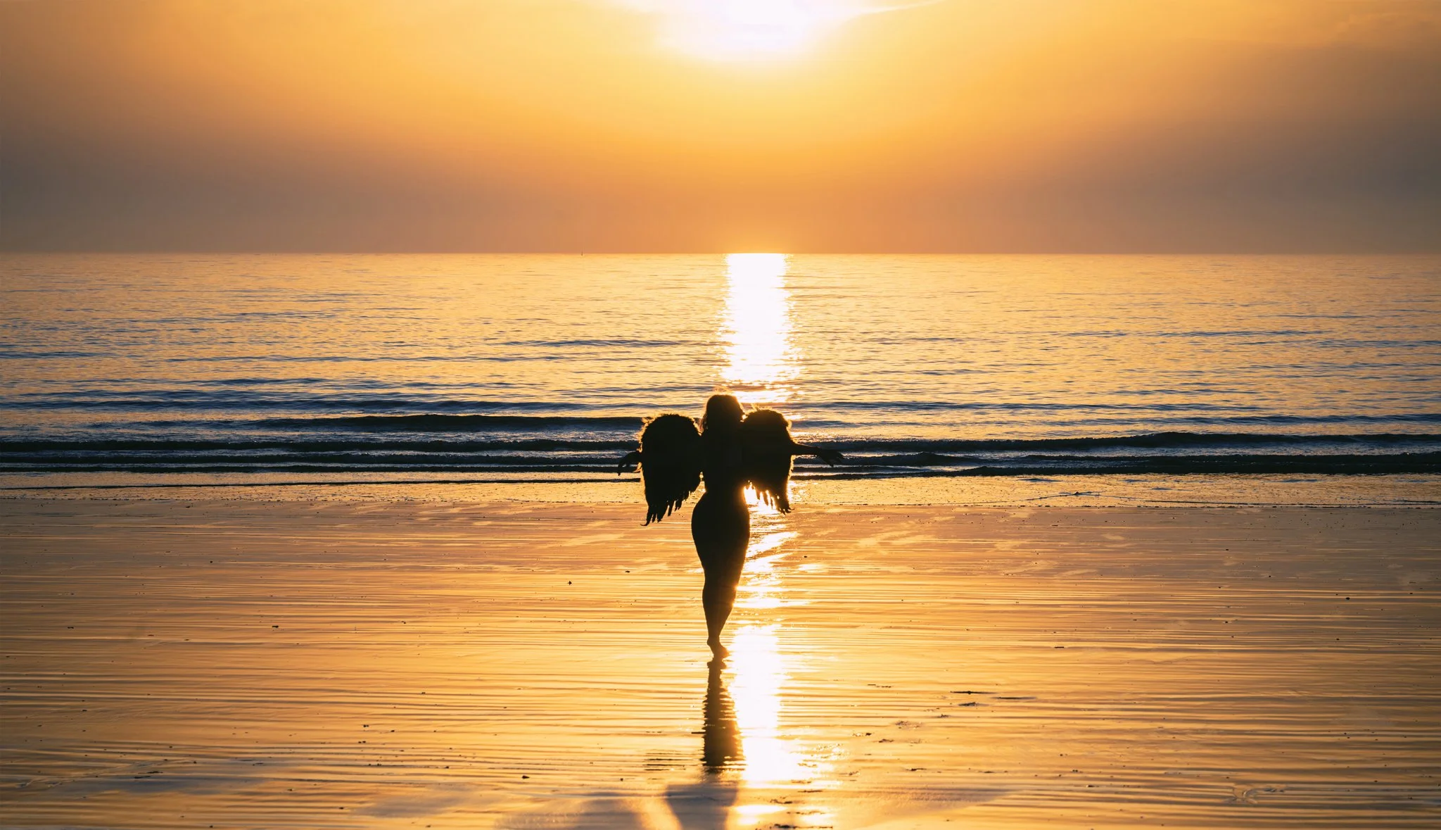 Seaside Soaring copy.jpg