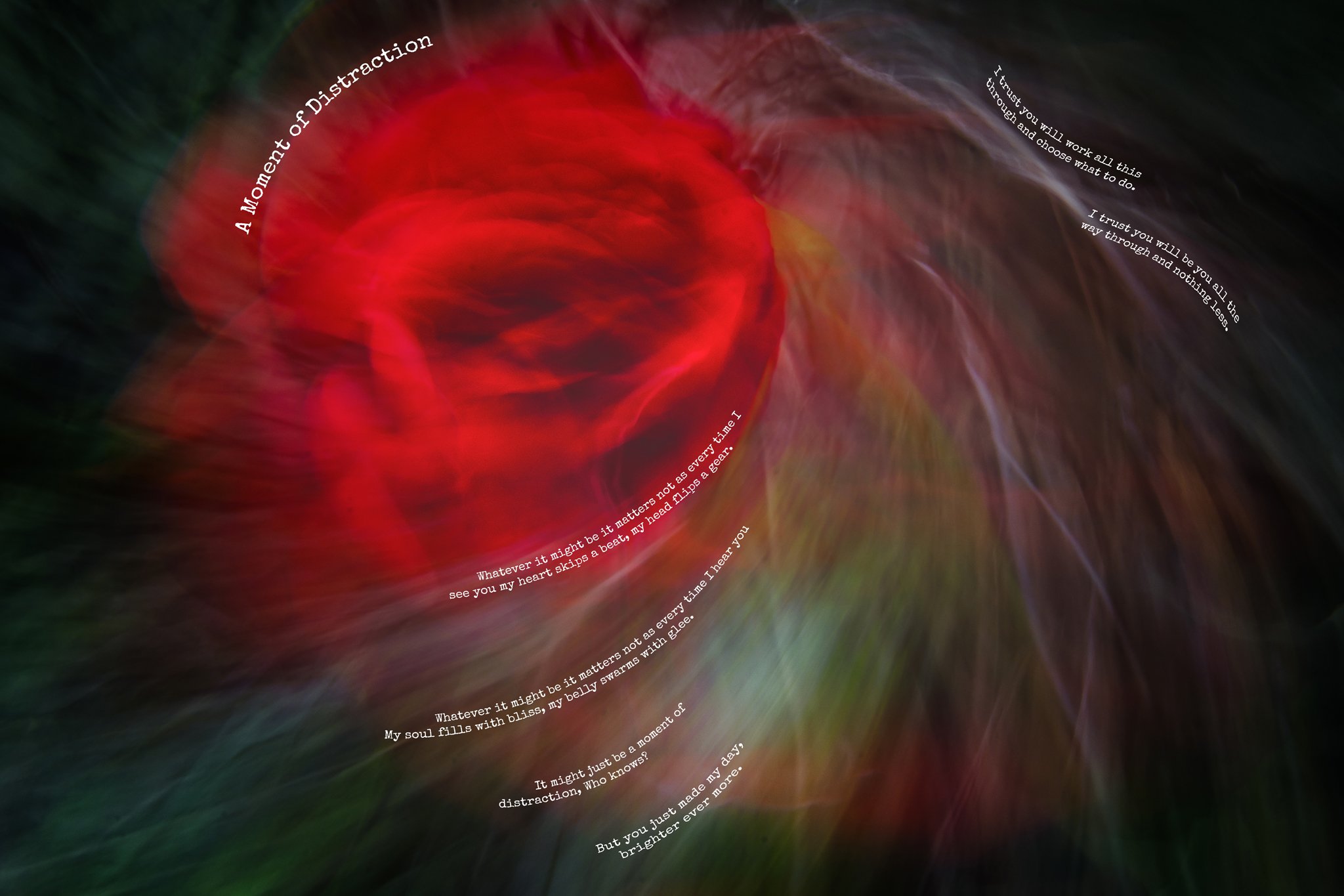 A moment of Distraction copy.jpg