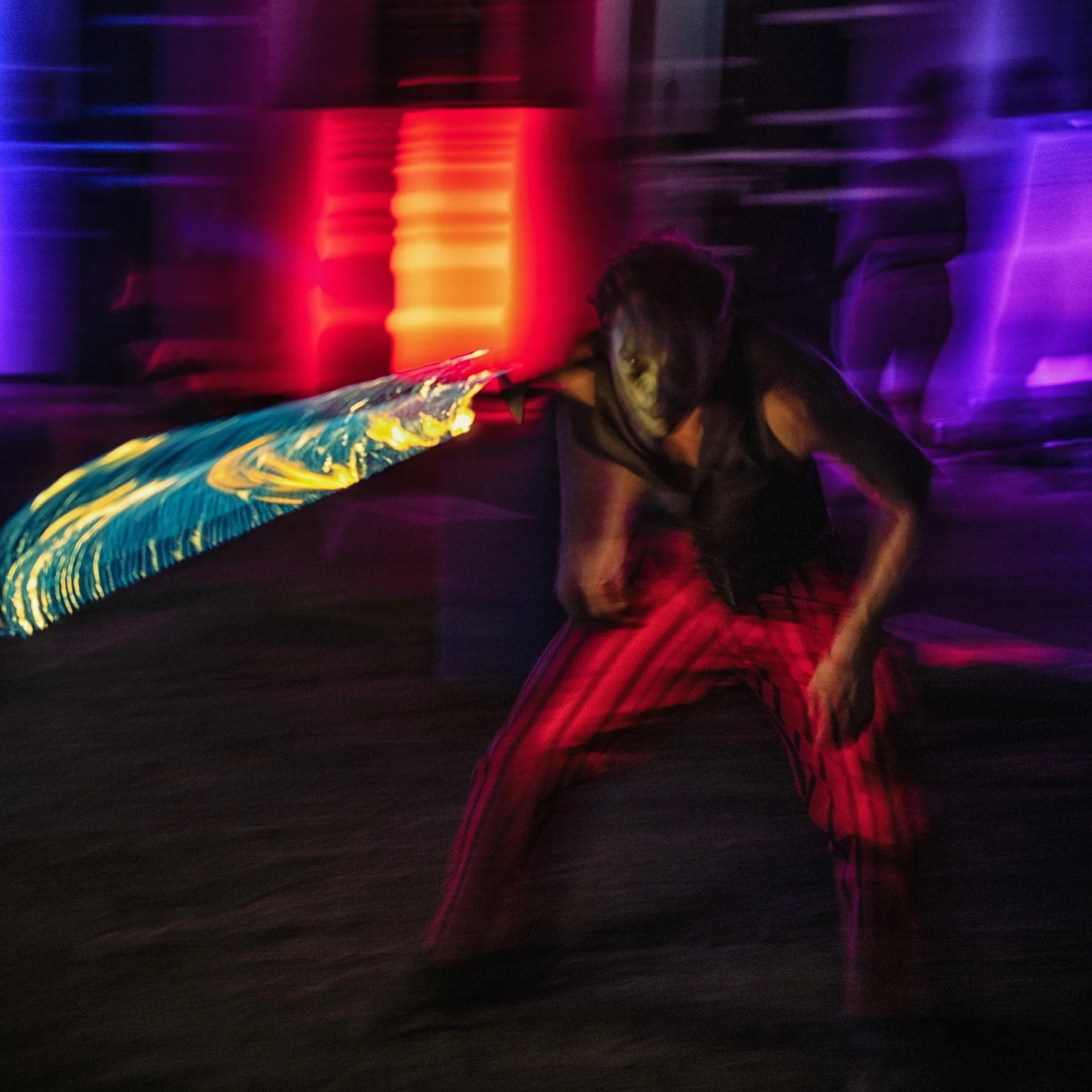 20250621 - Z72_3733 copy.JPG