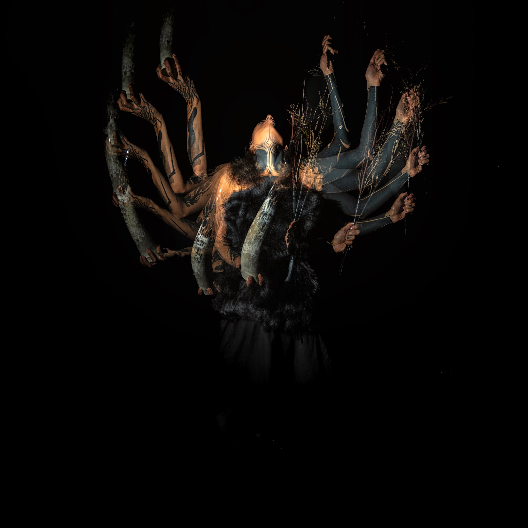 20251111-_NZ88908 copy.JPG