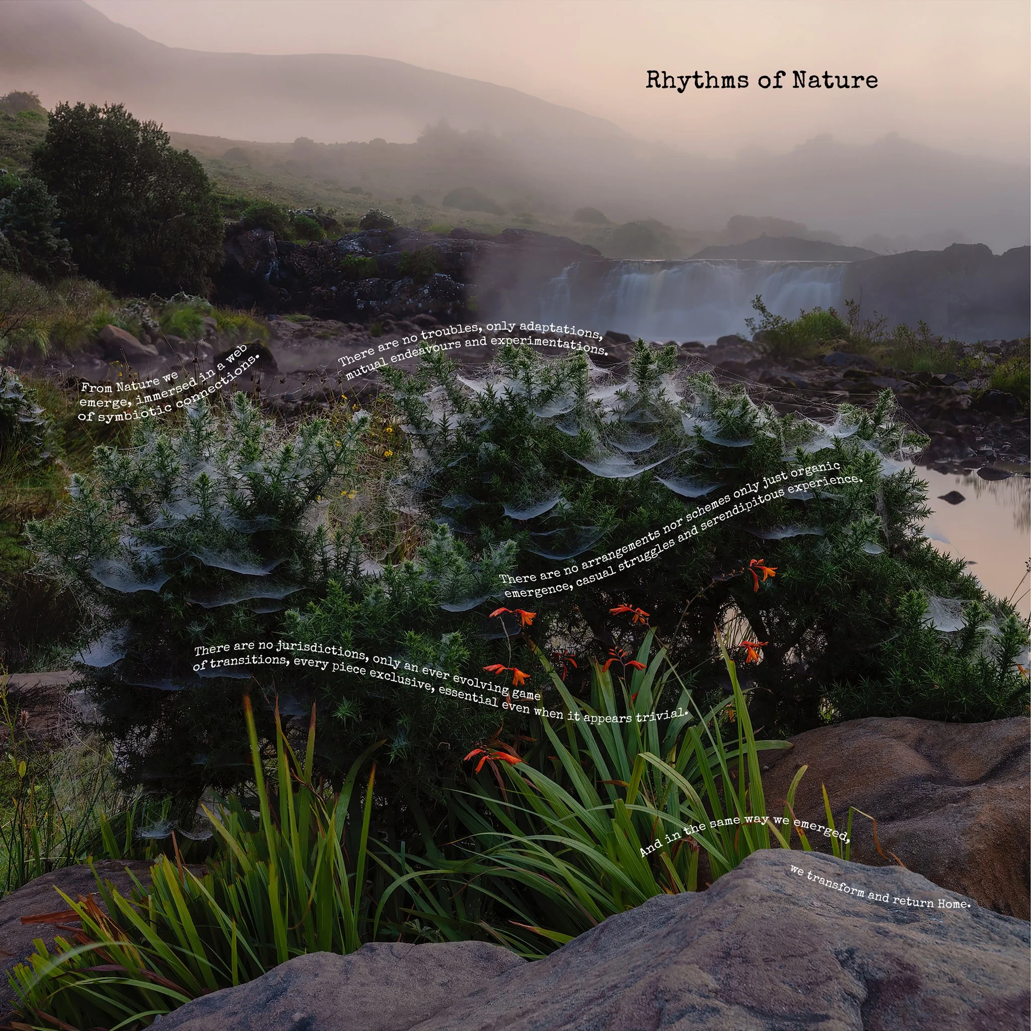 The Rythm of Nature copy.jpg