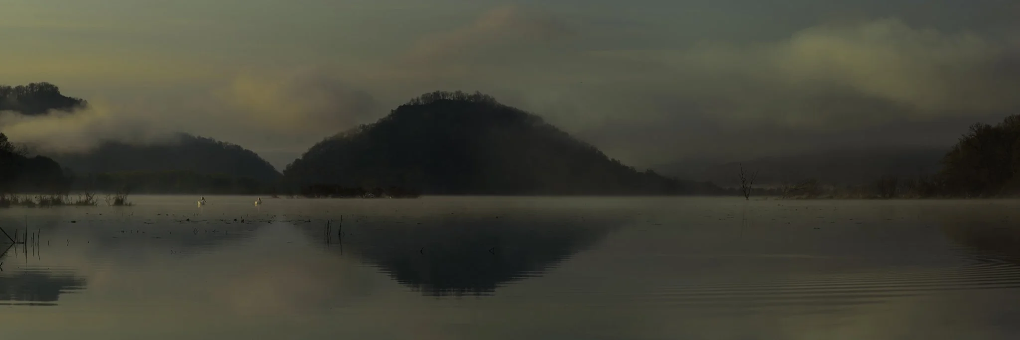 20180506 - _7504929-2 copy 2.jpg