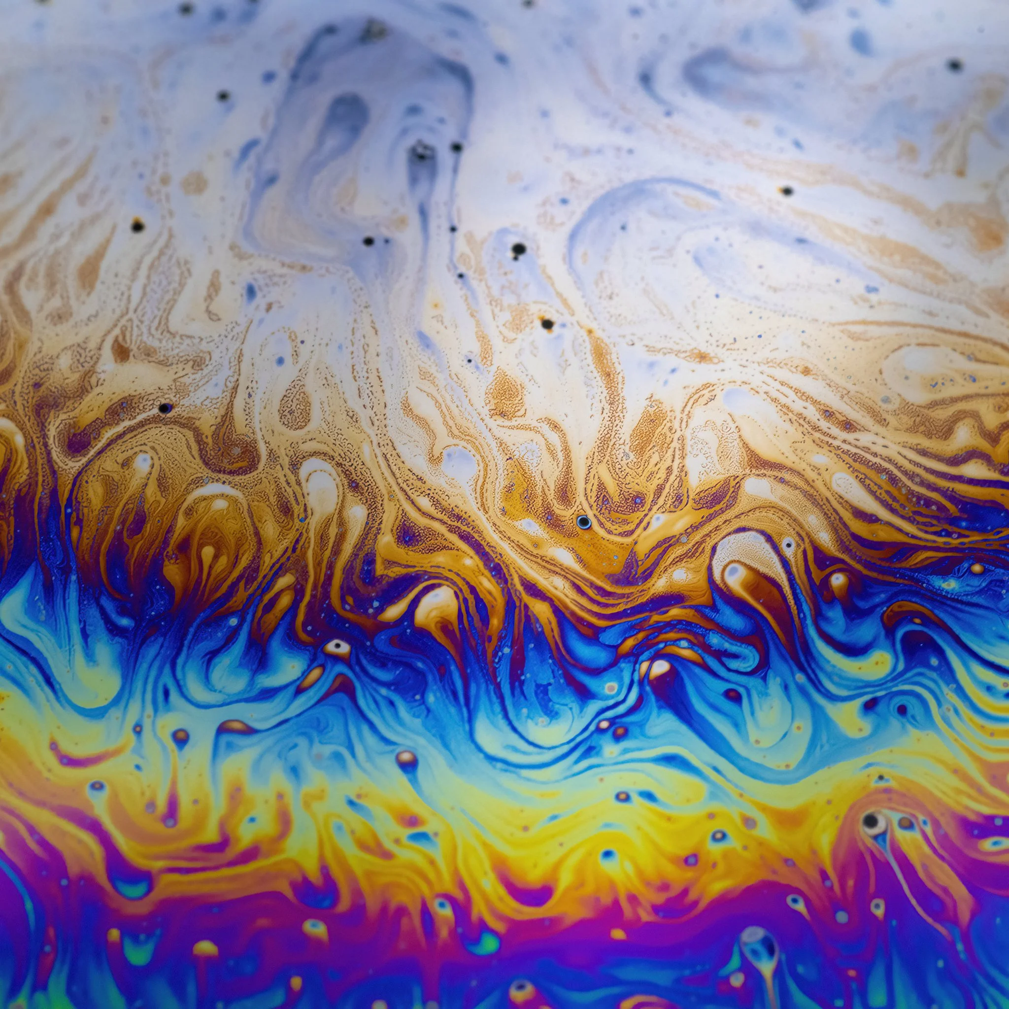 20220207 - 500_6555 copy.jpg