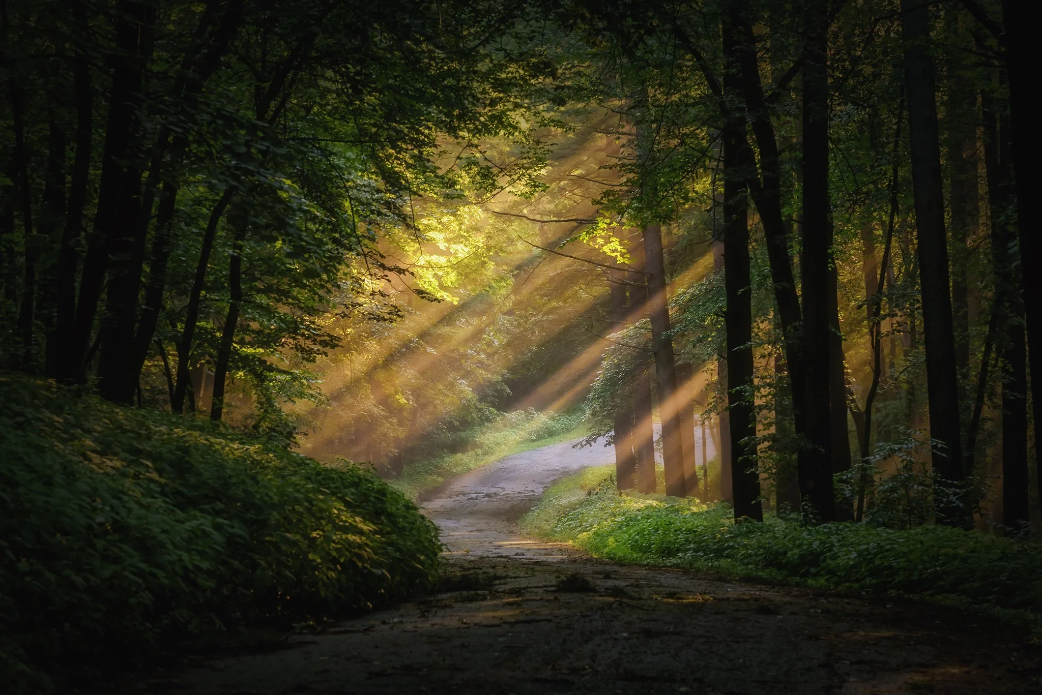 Sun Rise after the Storm