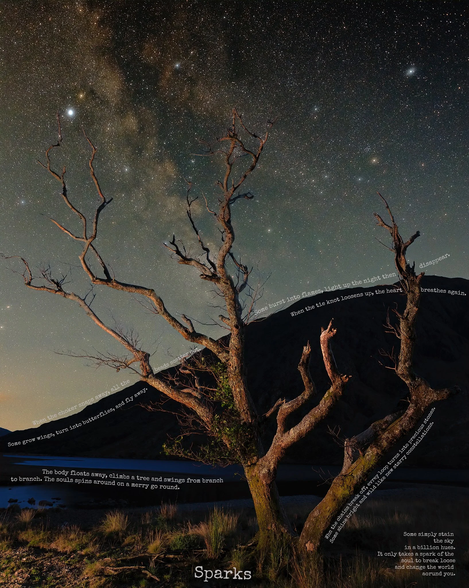 Sparks copy.jpg