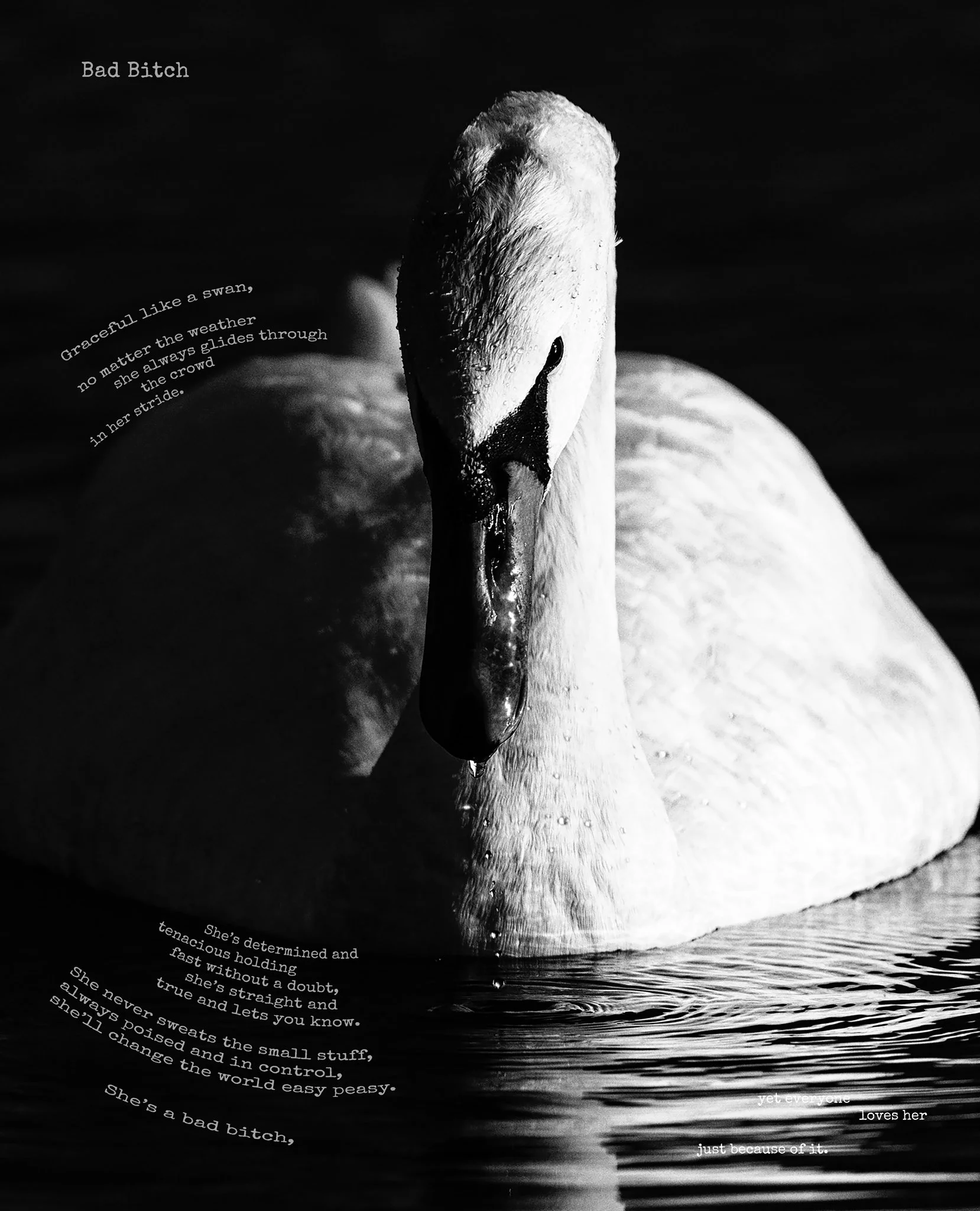 Bad Bitch copy.jpg