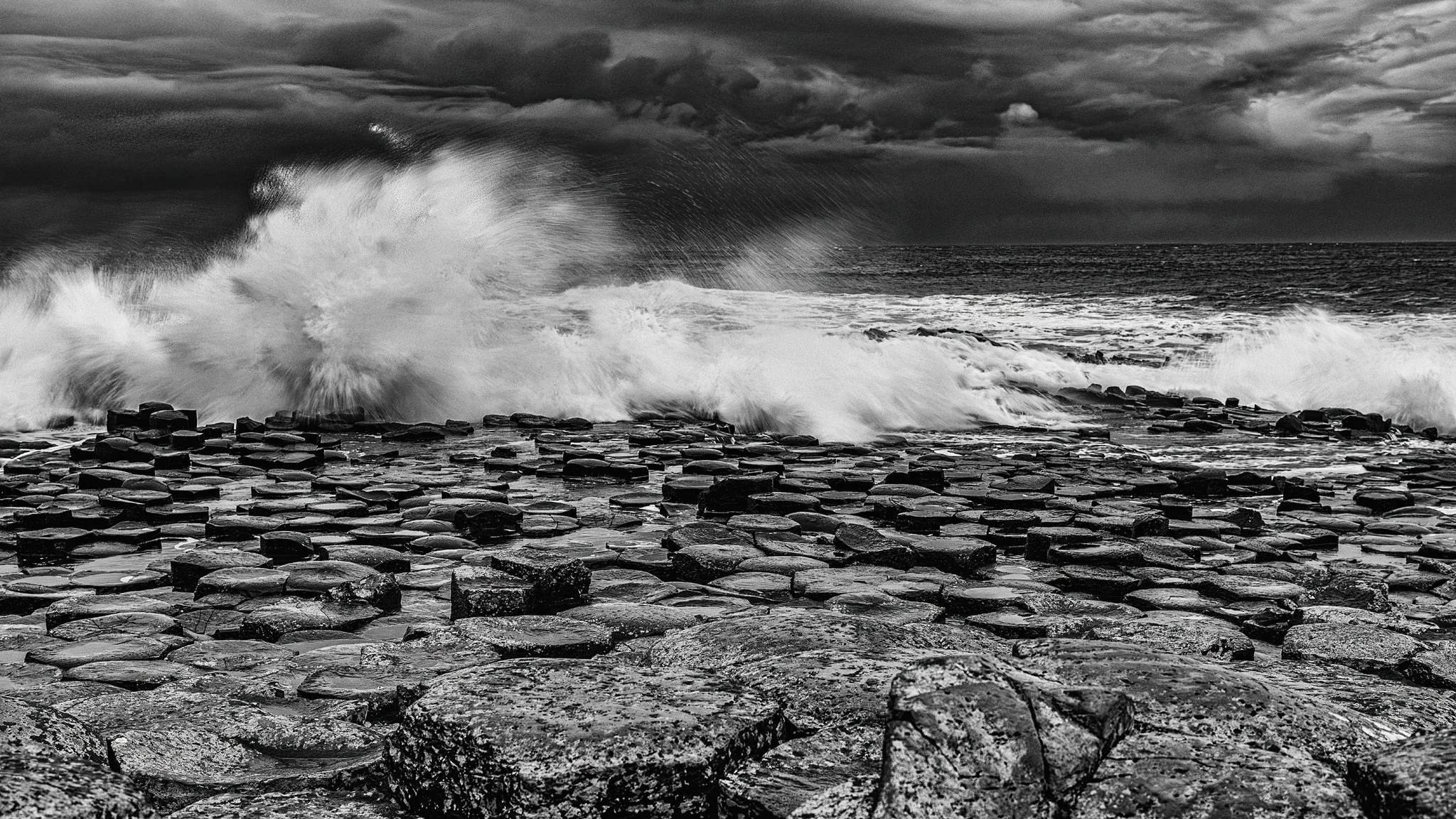 The Sea Dragon 20190126 - _7502894 copy.jpg