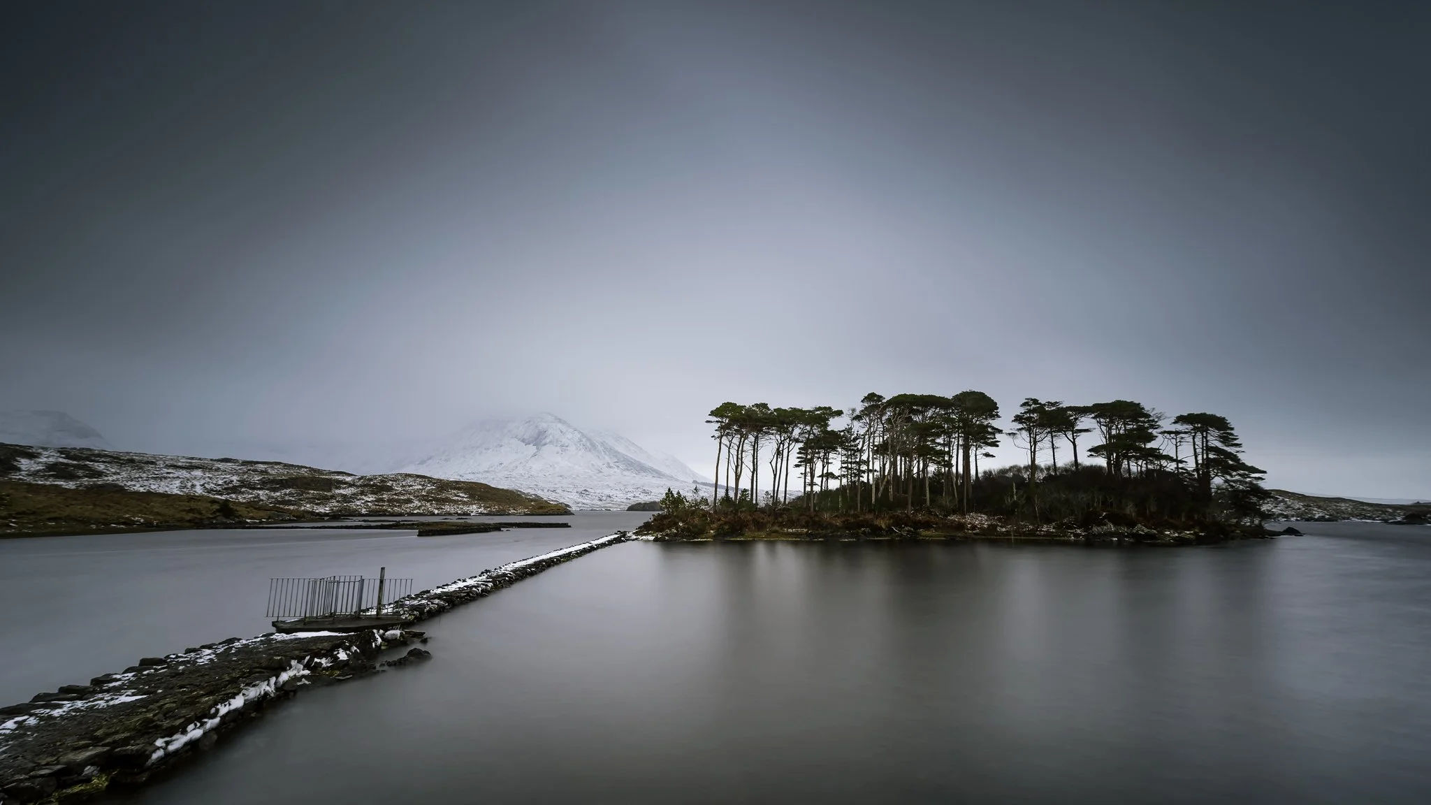 Pine Island in the Snow