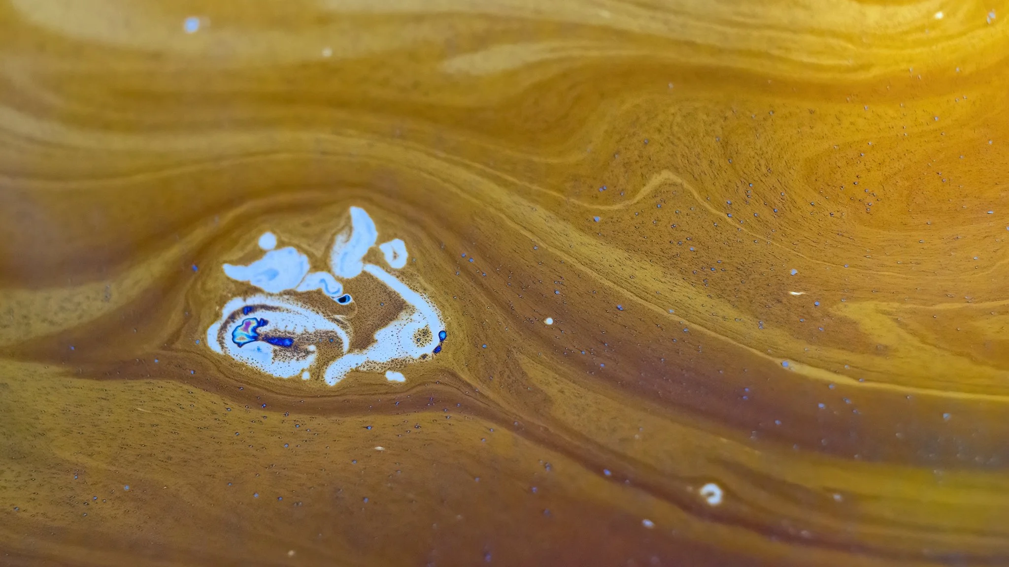 20220130 - Z72_5193 copy.jpg