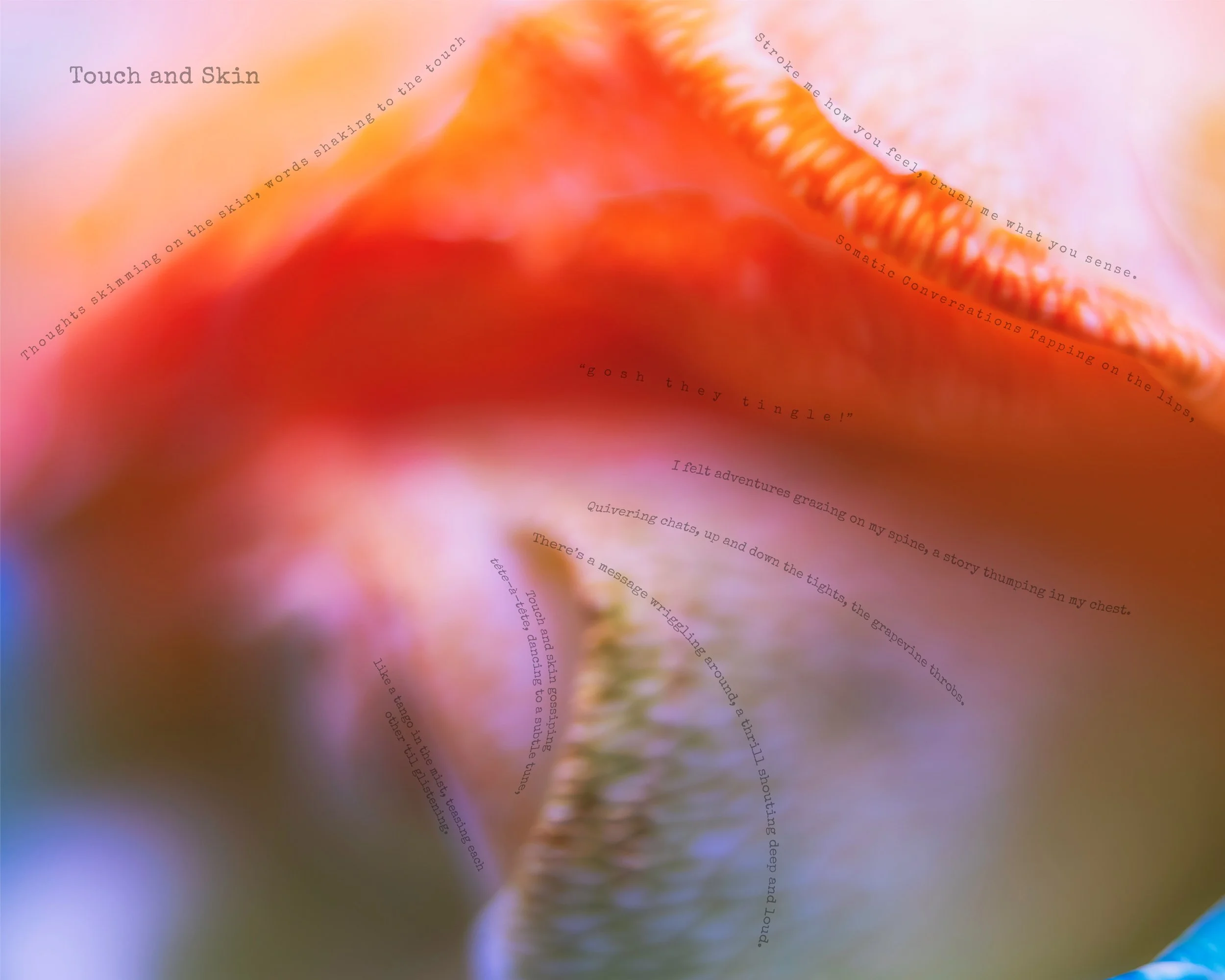 Touch and Skin copy.jpg